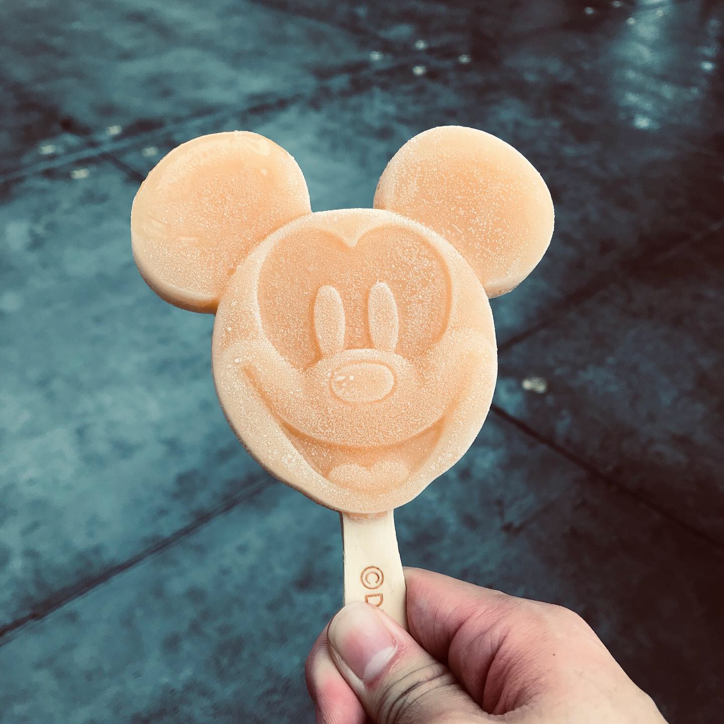 初めてディズニーシーに行きました‼️