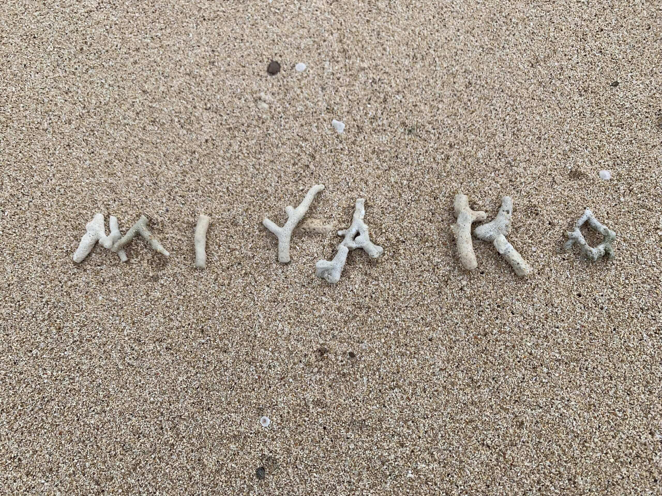 夏休みいただきました☆