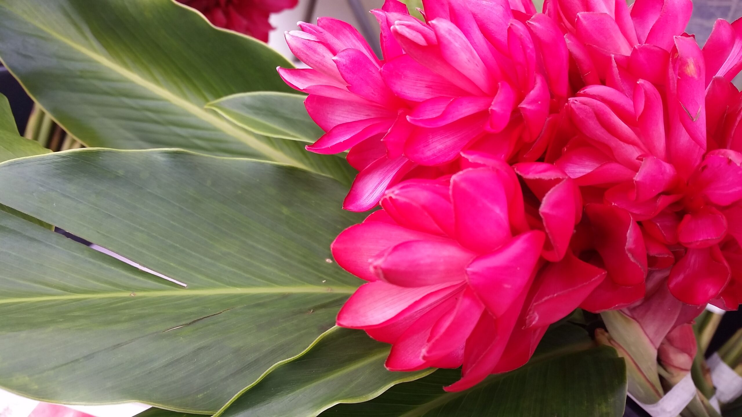 山岡のご予約に関して