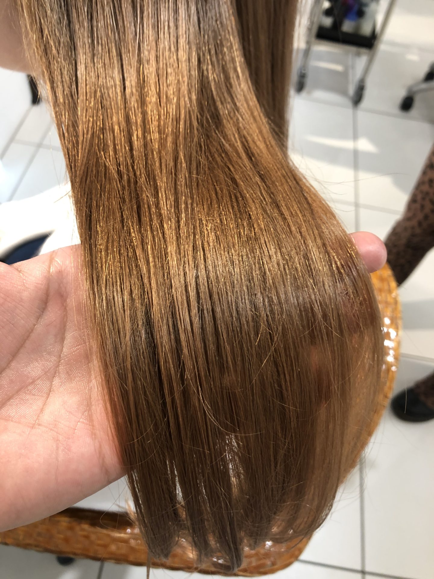 ハイトーン、暖色系に飽きた方へ！