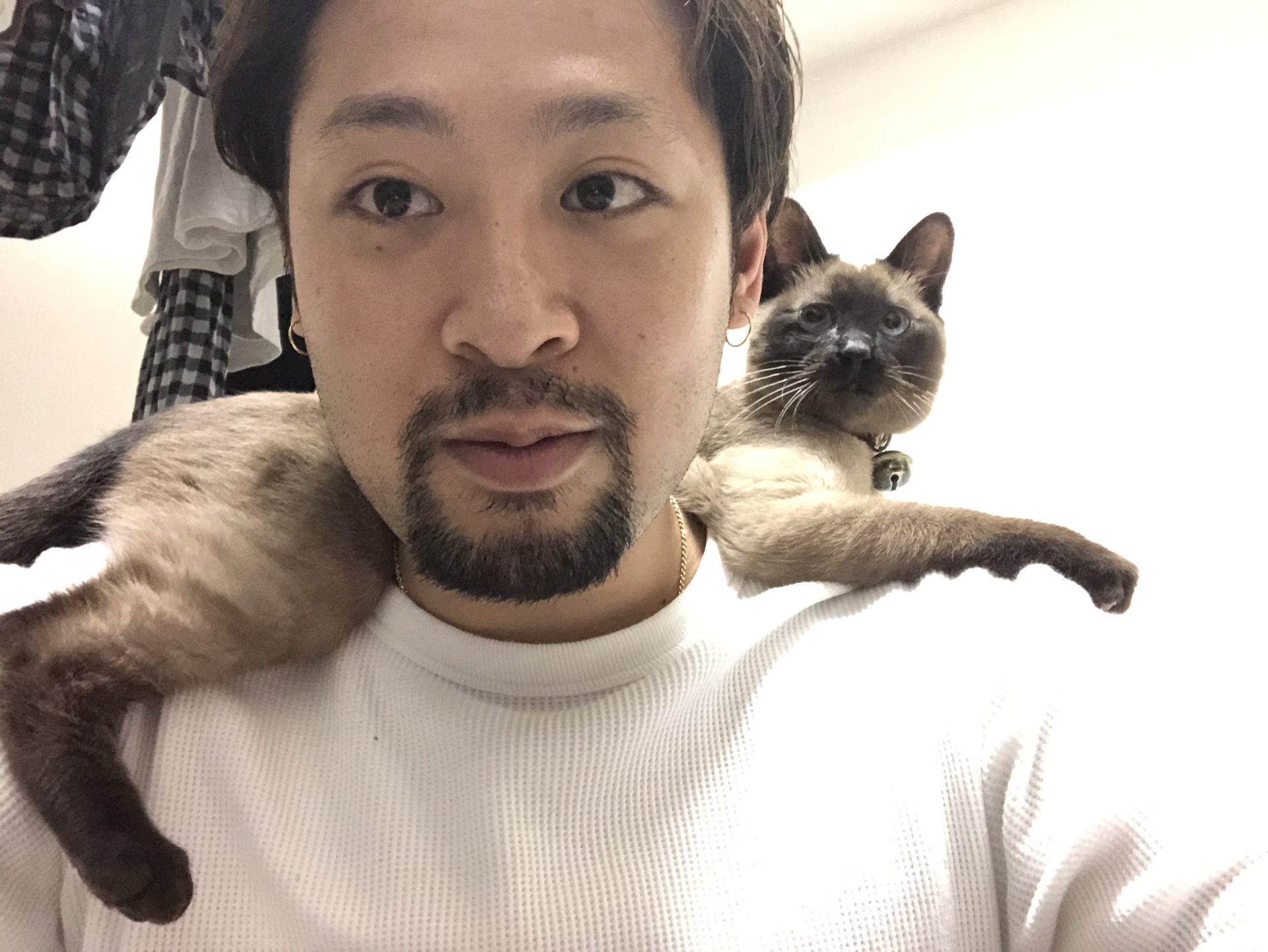 お家時間　stay home！