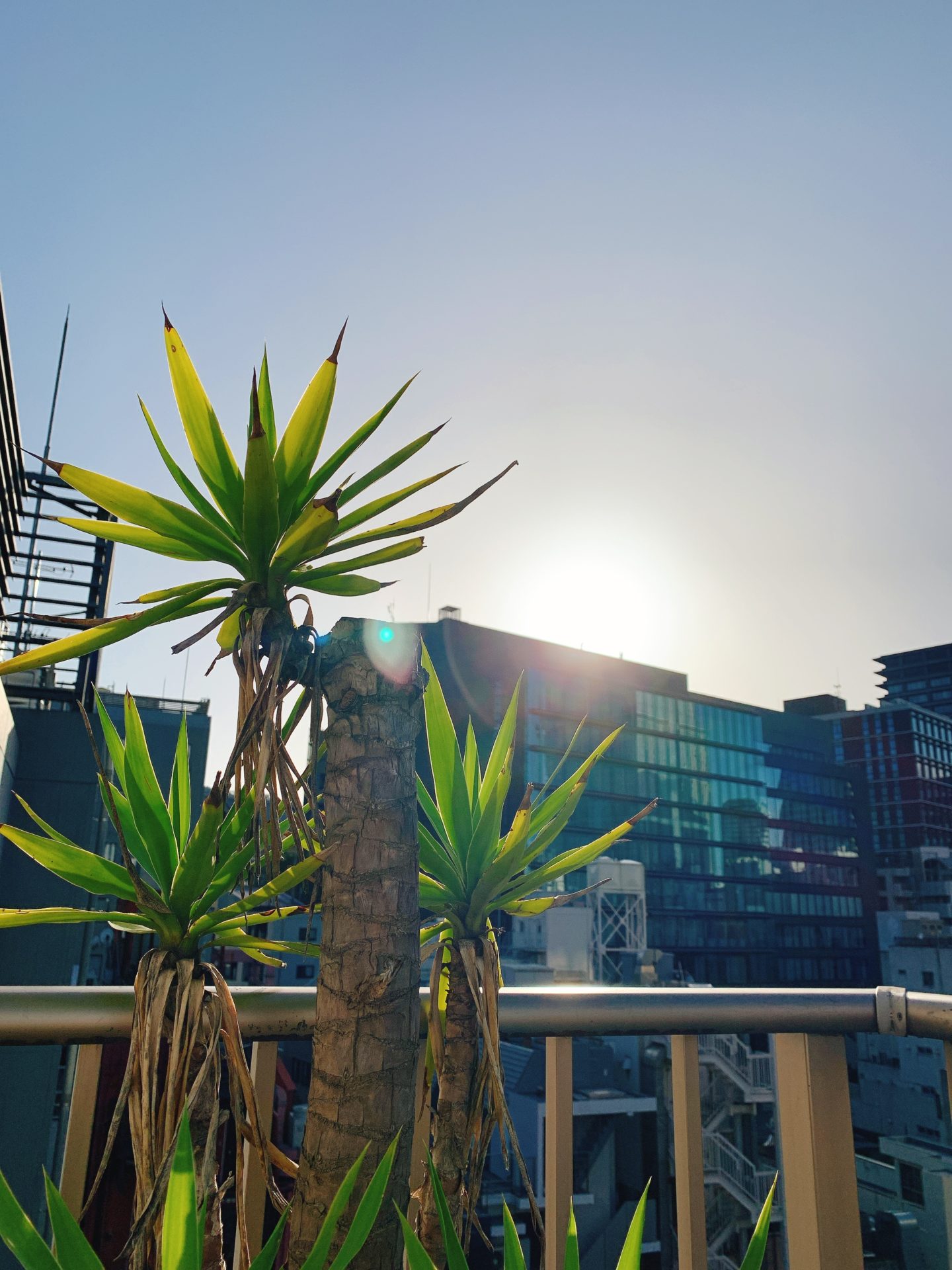 初来店の方必見です！６月１日以降はご新規のお客様も受付再開致しました！