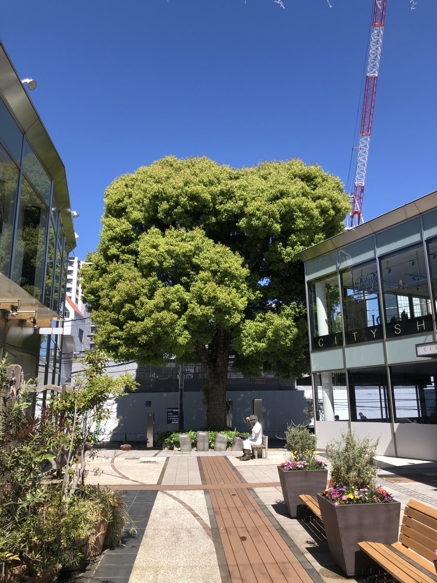 髪を切って喜んでくれる人がいるから・・・