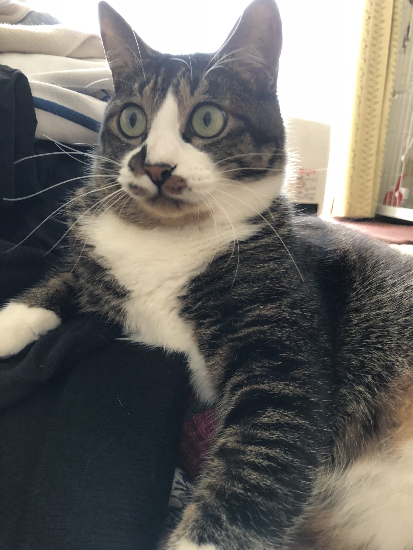 ショートカットレッスン開始！！