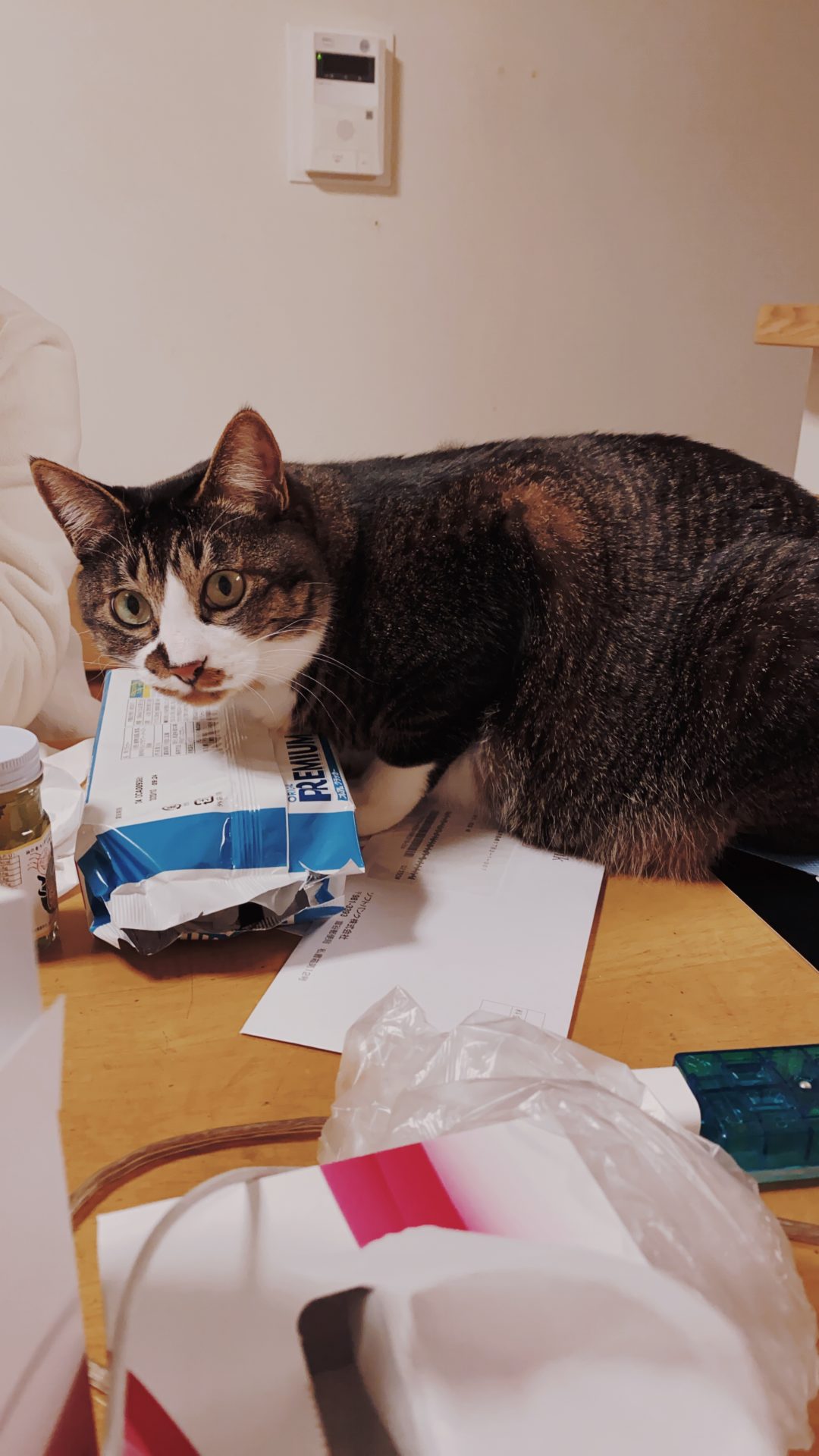 暗髪が自分のなかできてます☺️