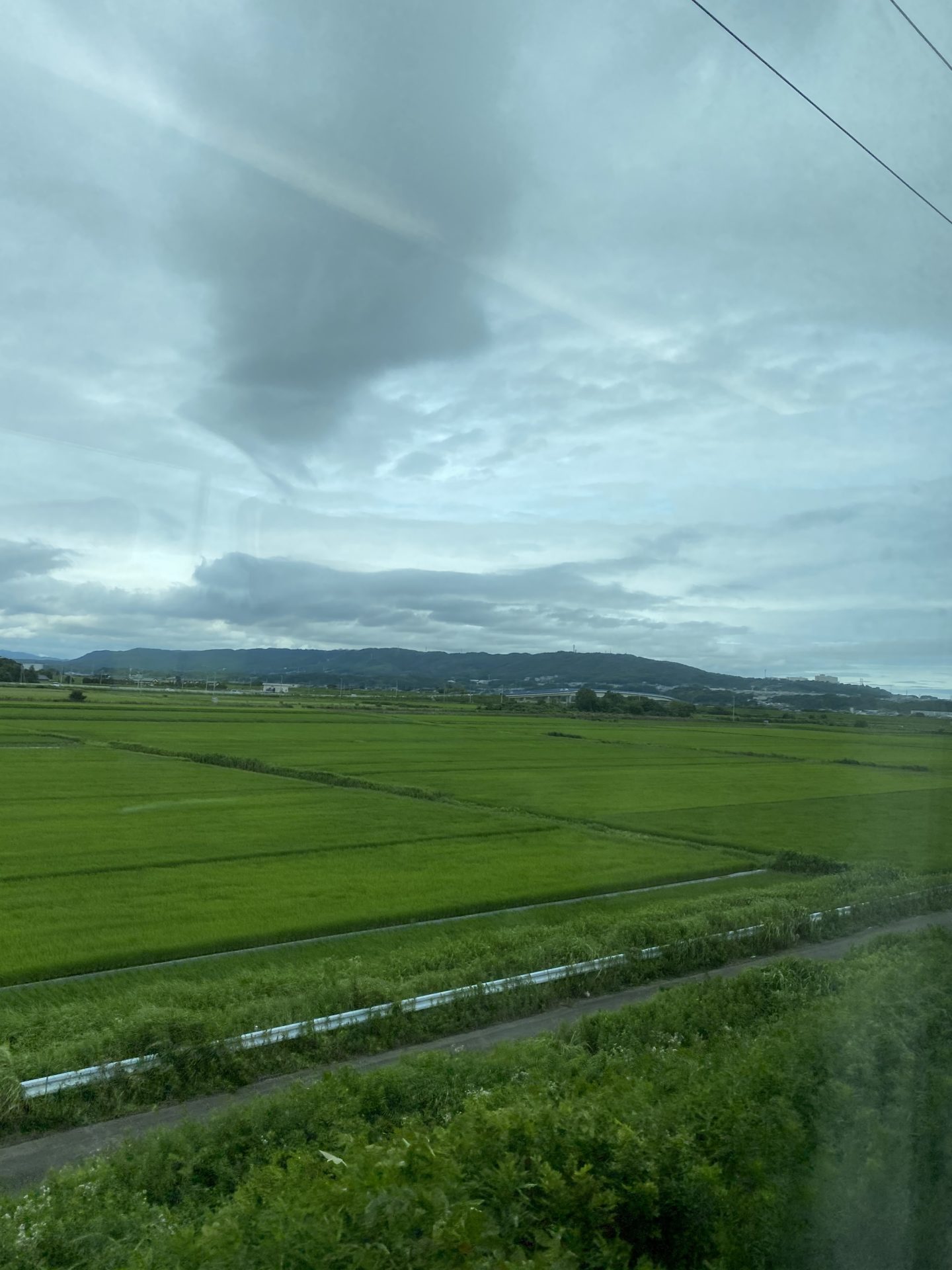 リフレッシュ✨