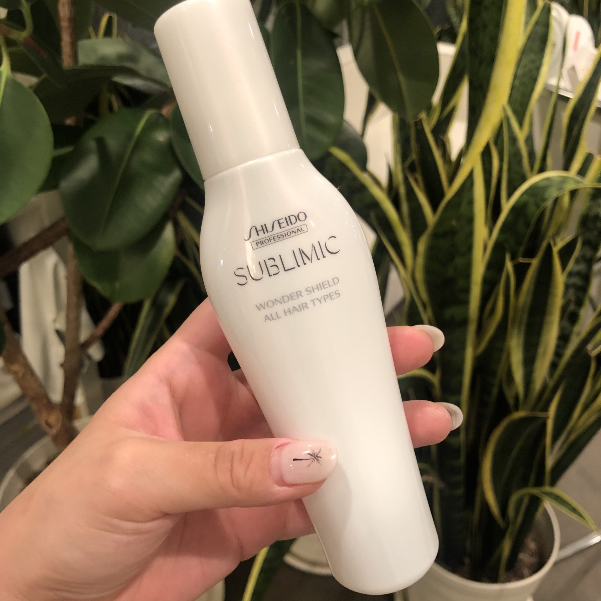 この時期に強い味方💪