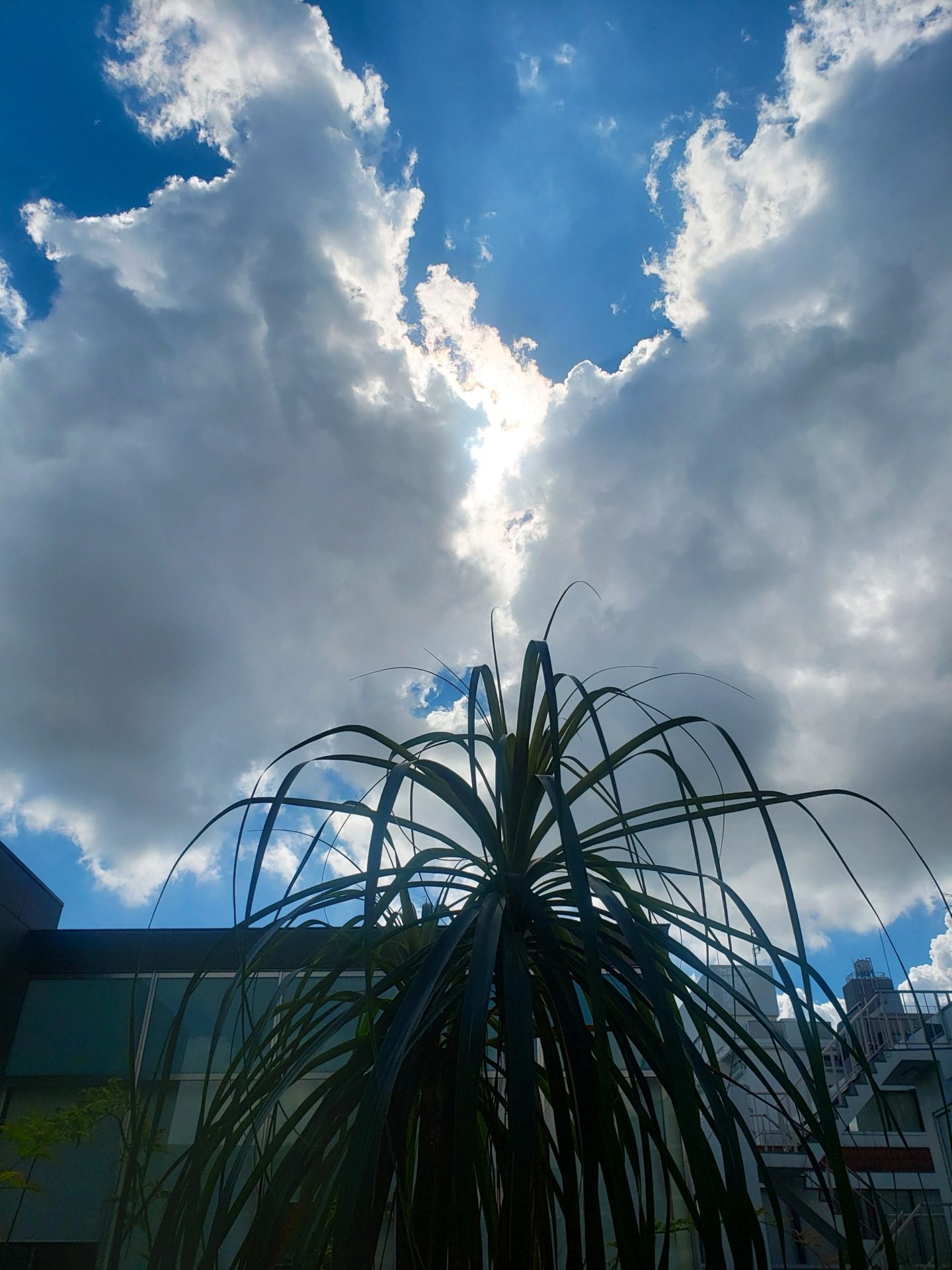 アシスタントの指名について