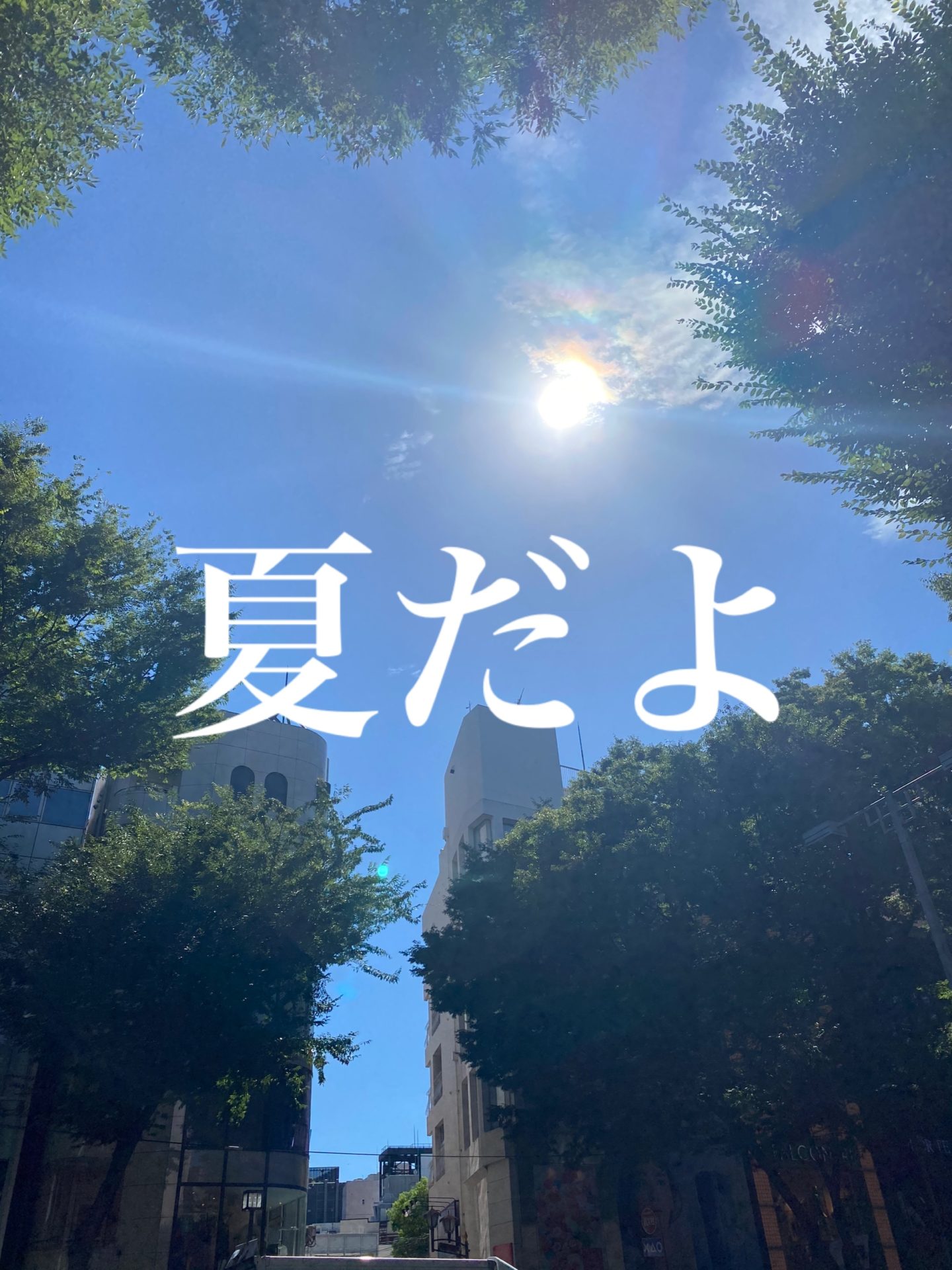 テンション上げたければ、髪をキレイに