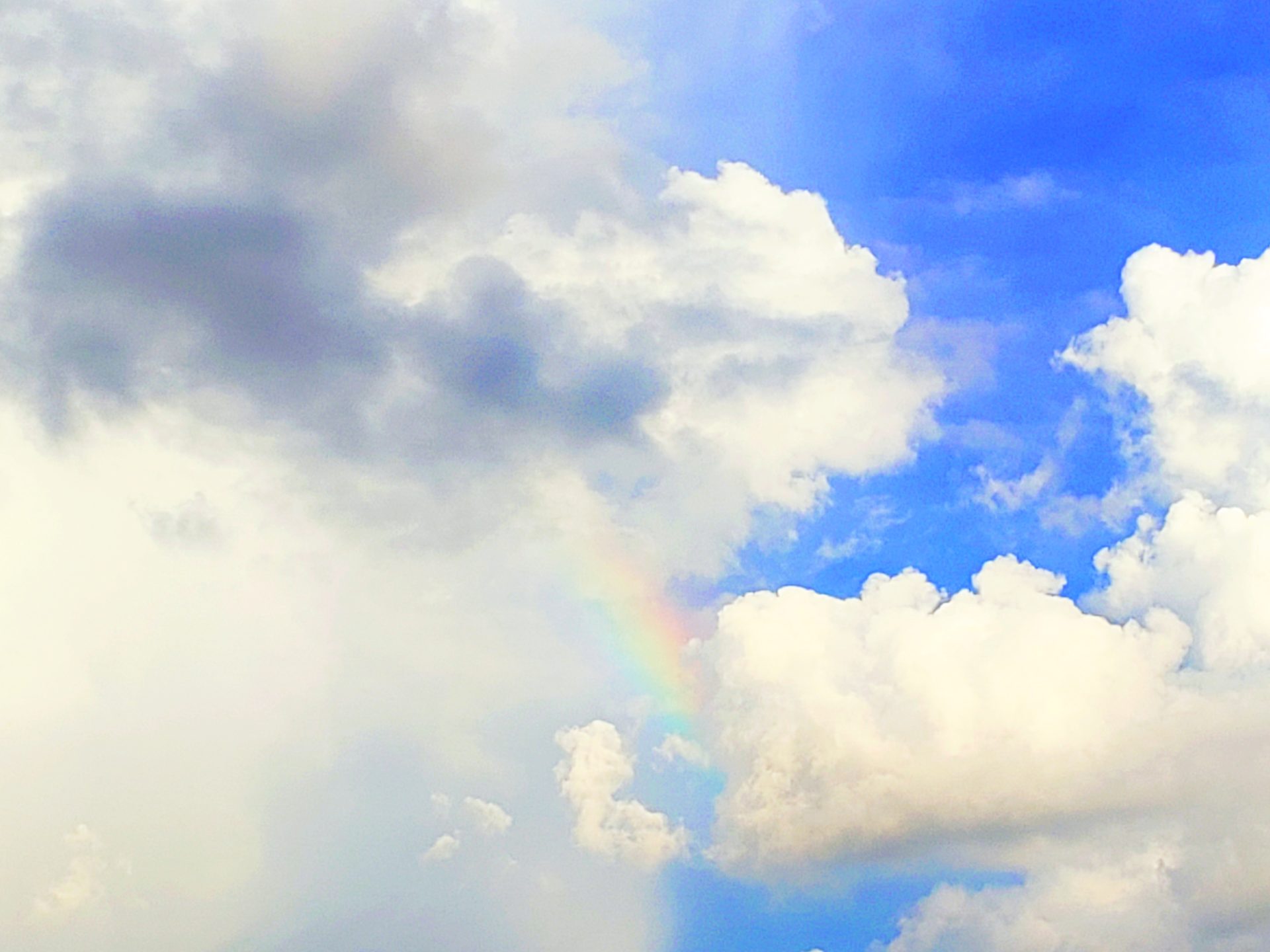 エコバッグ　ご協力のお願いです。