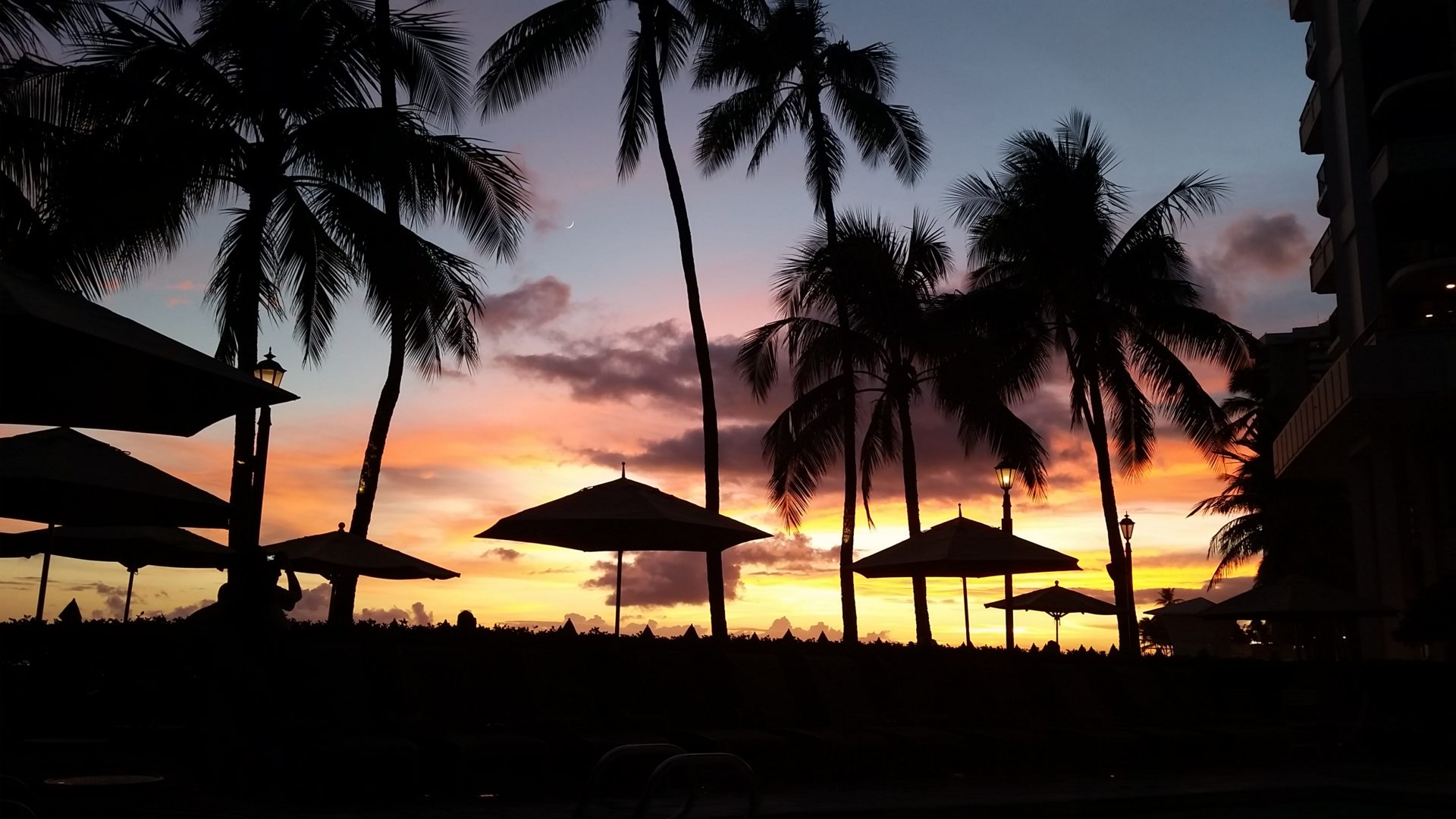 エコバッグ、ご協力のお願い