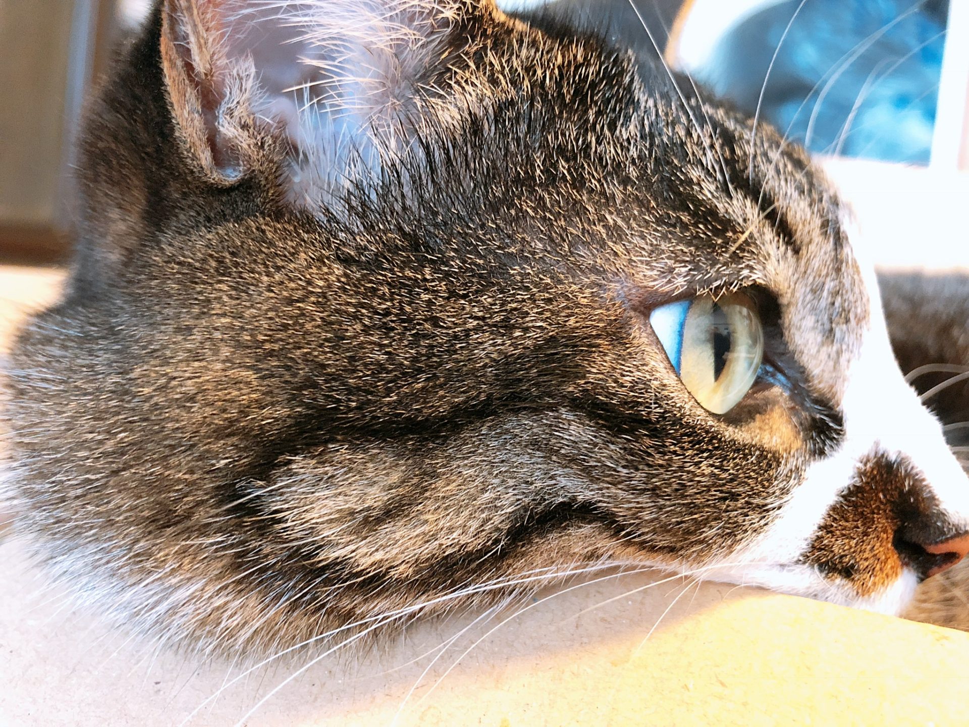 暖色colorしてくぜ！！