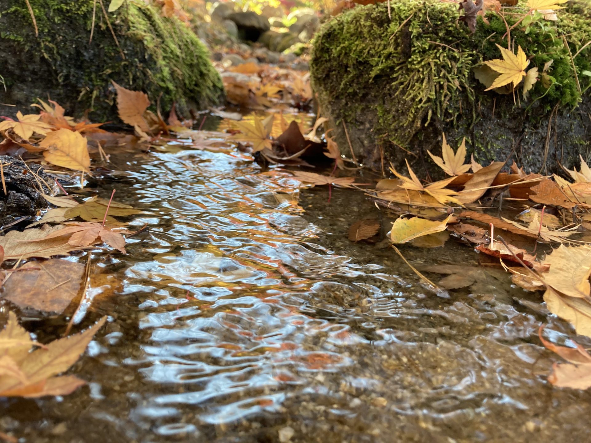 長期休暇終了〜