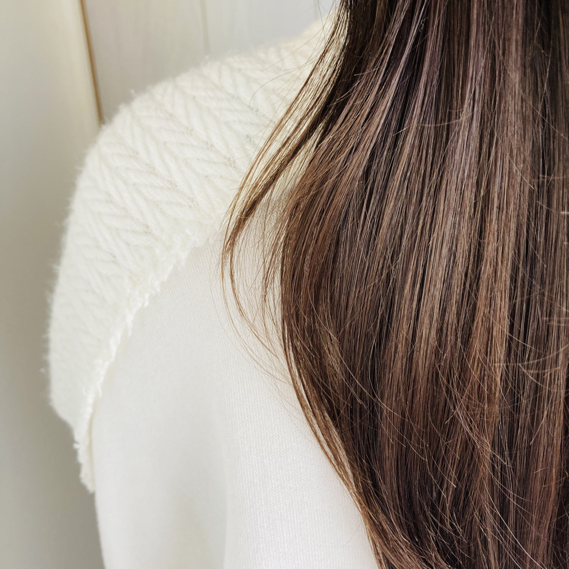 冬のケア次第で春には別人の髪質に！