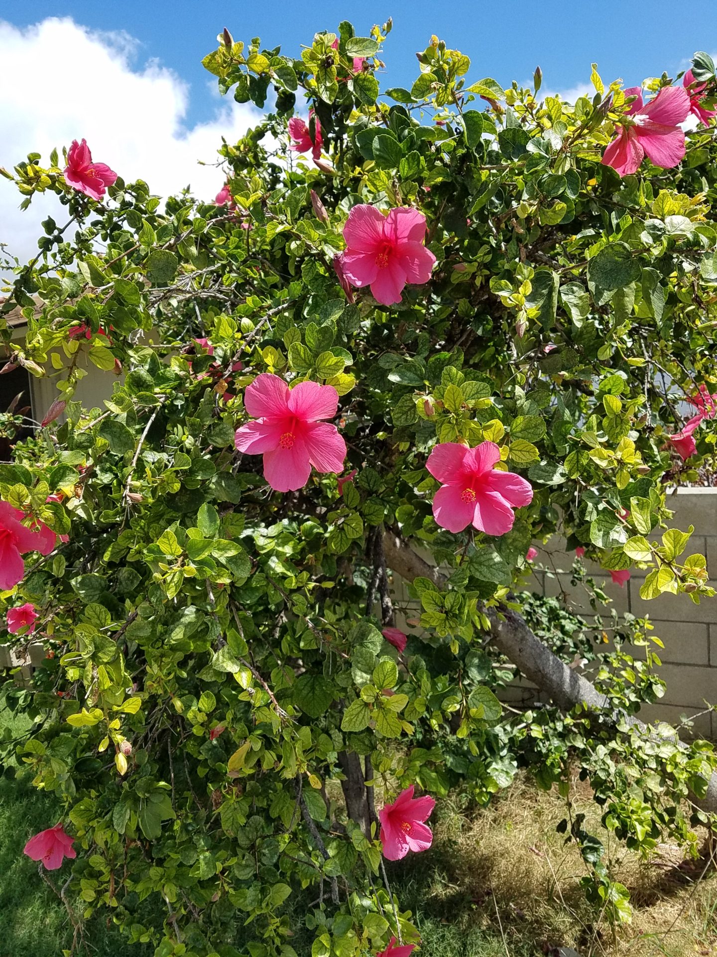 年末年始の営業スケジュールに関して