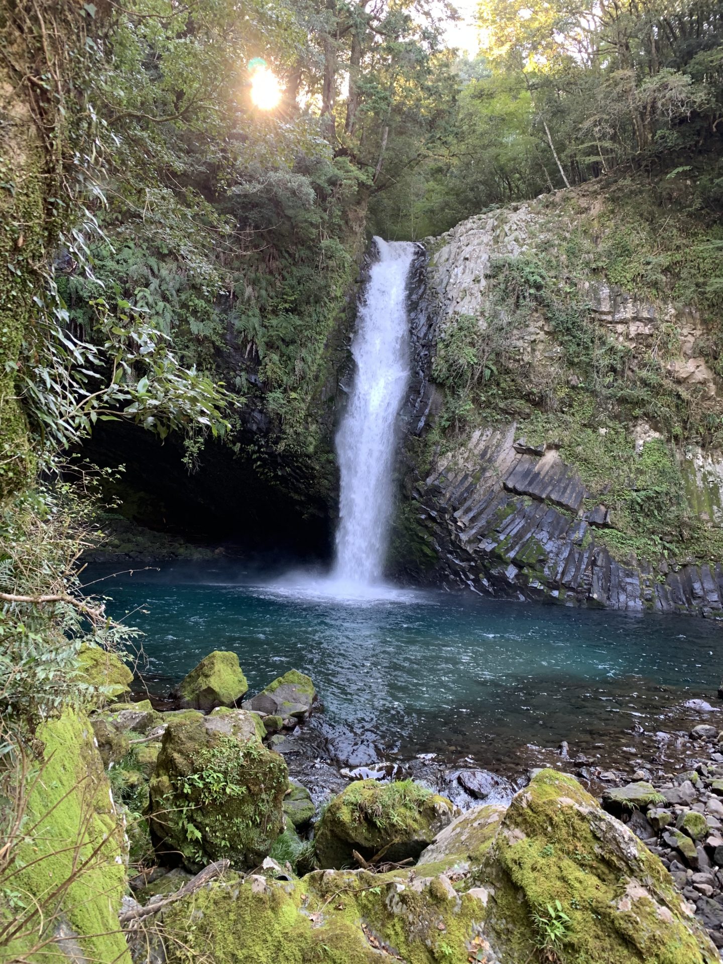 2020年ももう終わり