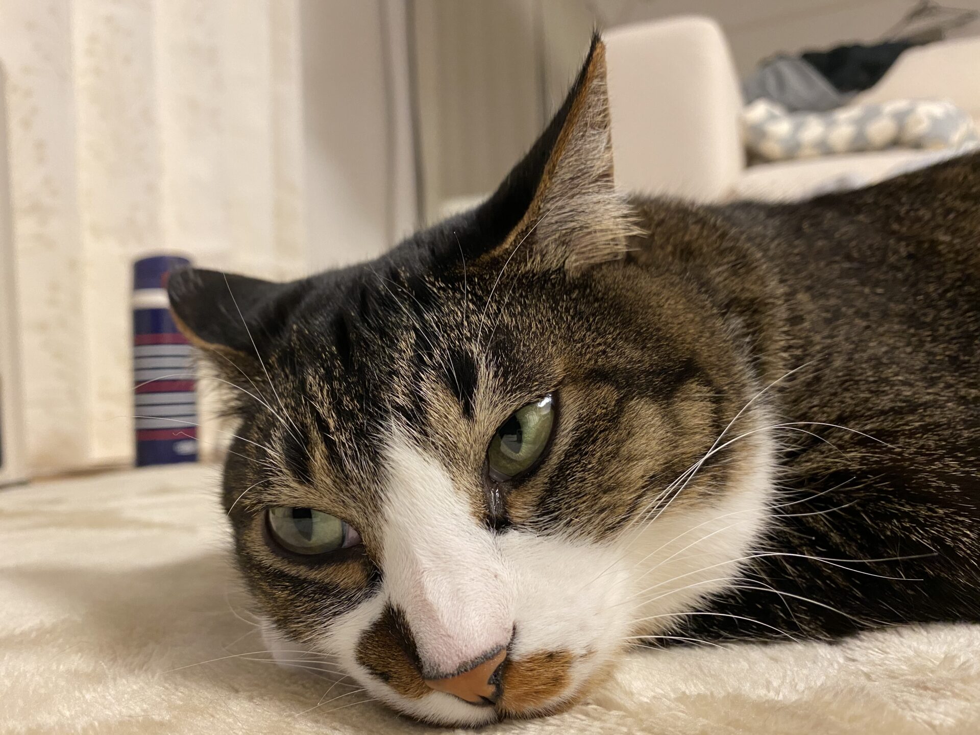 ブリーチで少し味をだしてみては？？