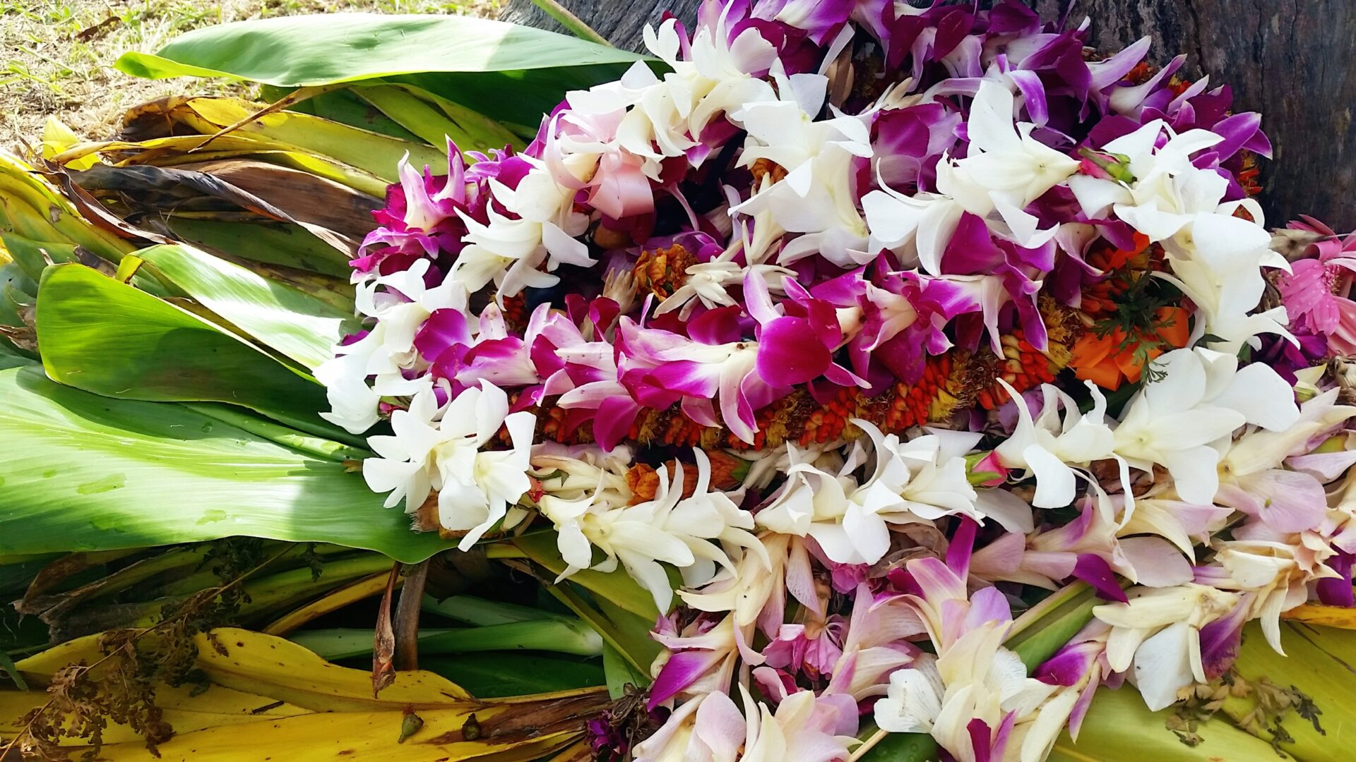 スタイリスト２月のお休み