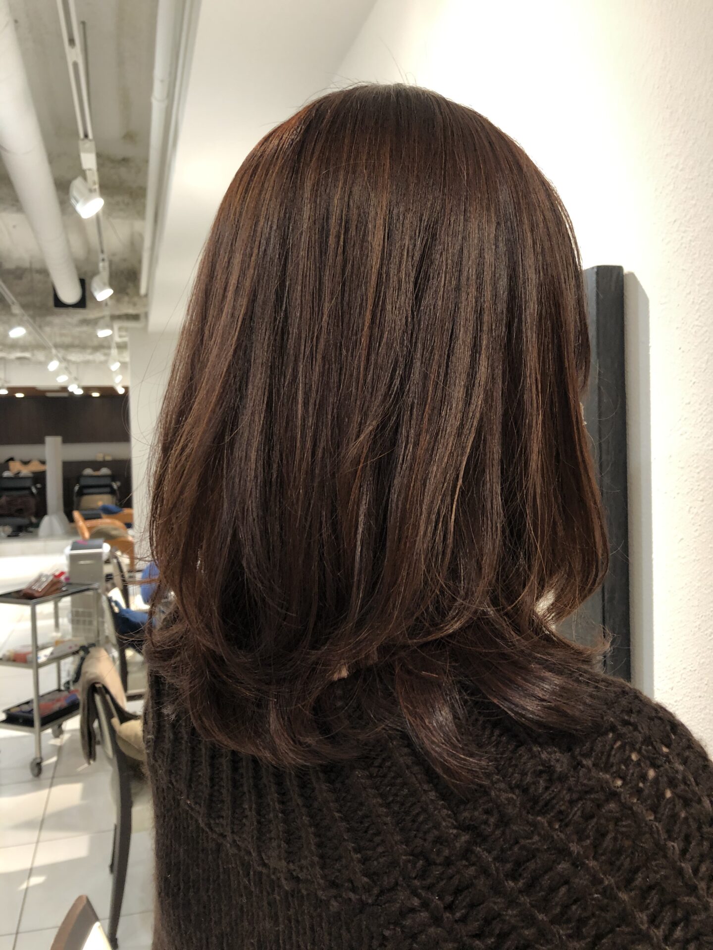 ハイライトメッシュ