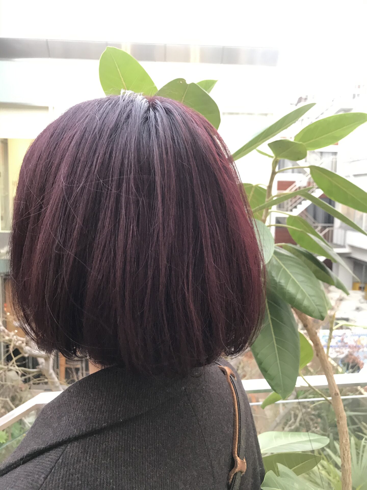 イルミナカラー！