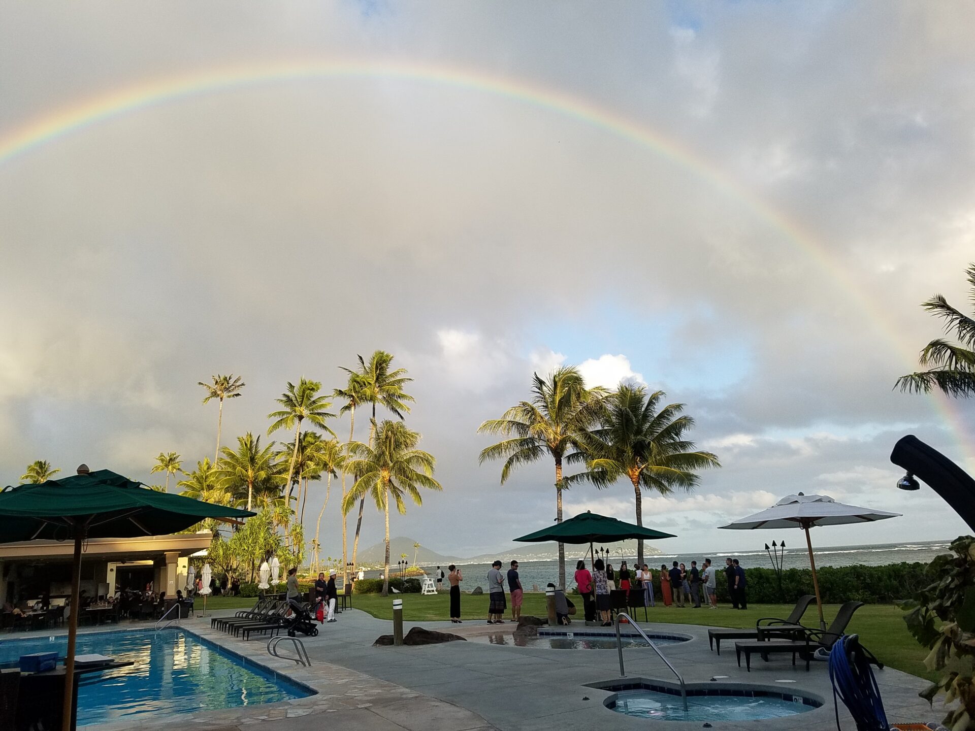 MYバッグご協力のお願い