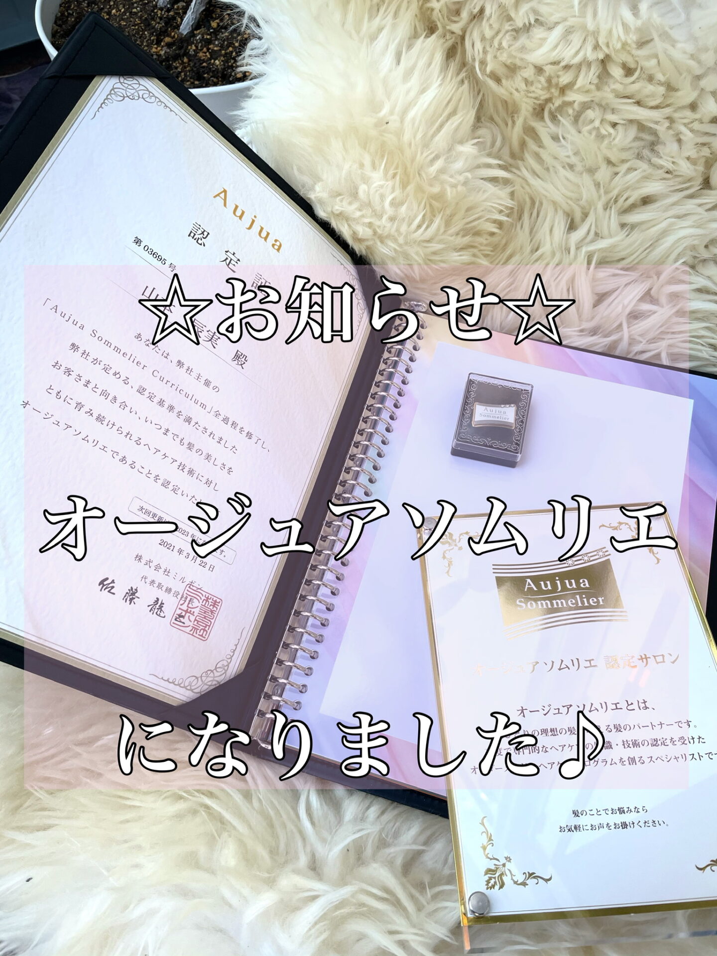 お知らせです♪♪