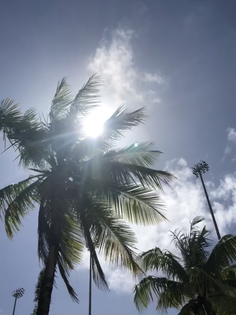 佐野行俊の夏休みと7月スケジュール報告