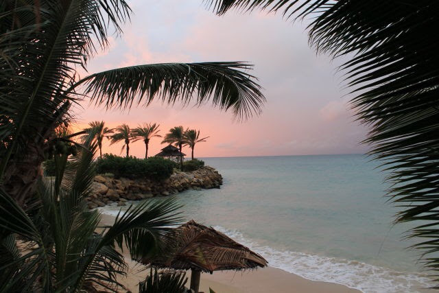 キャンペーンやってます