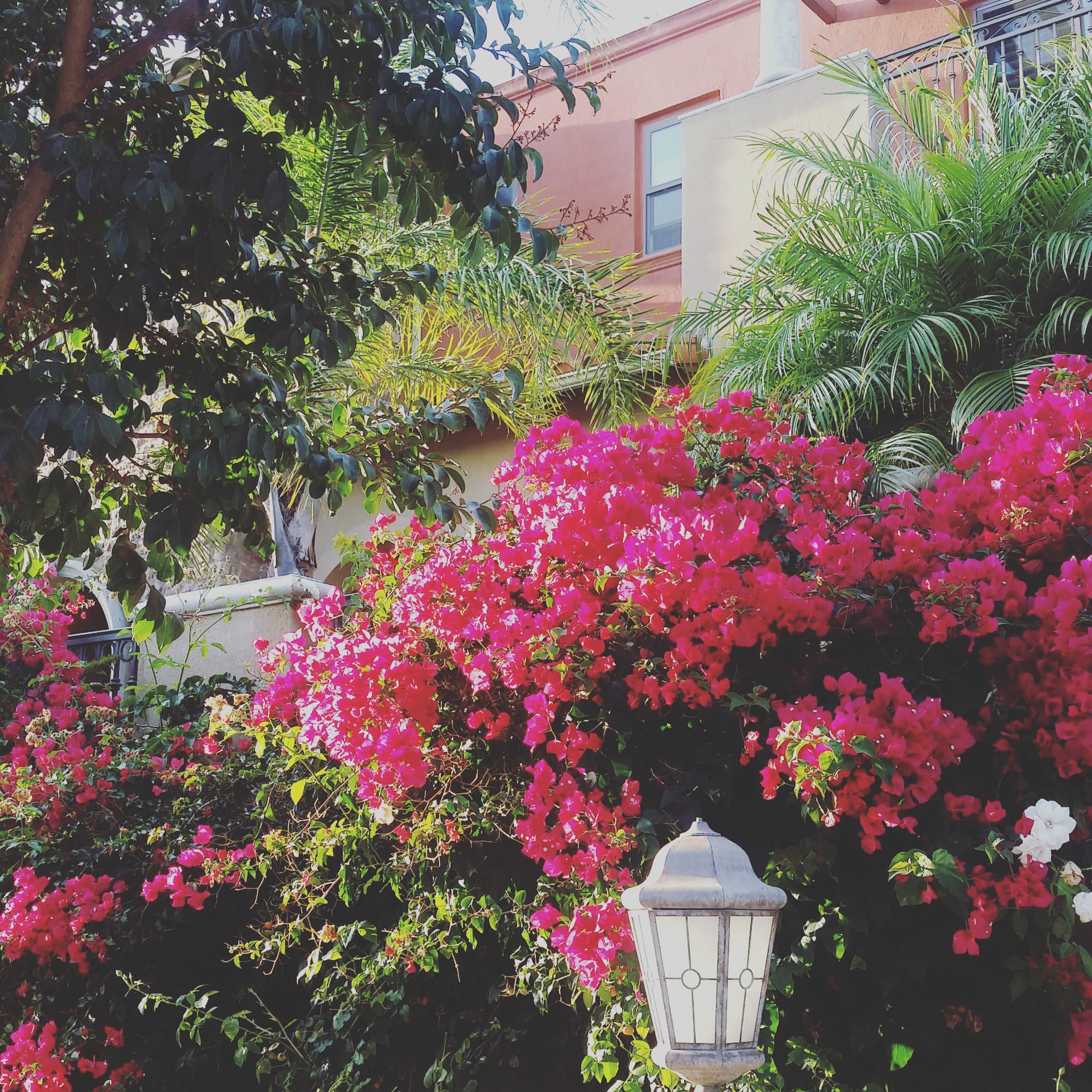 ７月　スタイリストスケジュール