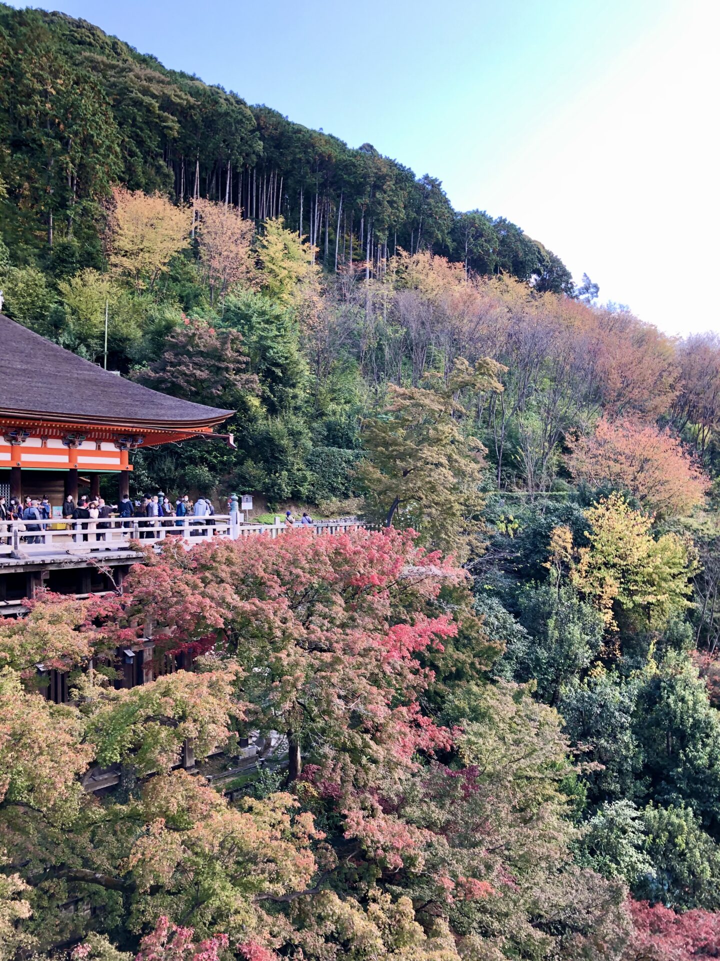 ※9月のお休み　10月長期休暇のお知らせ