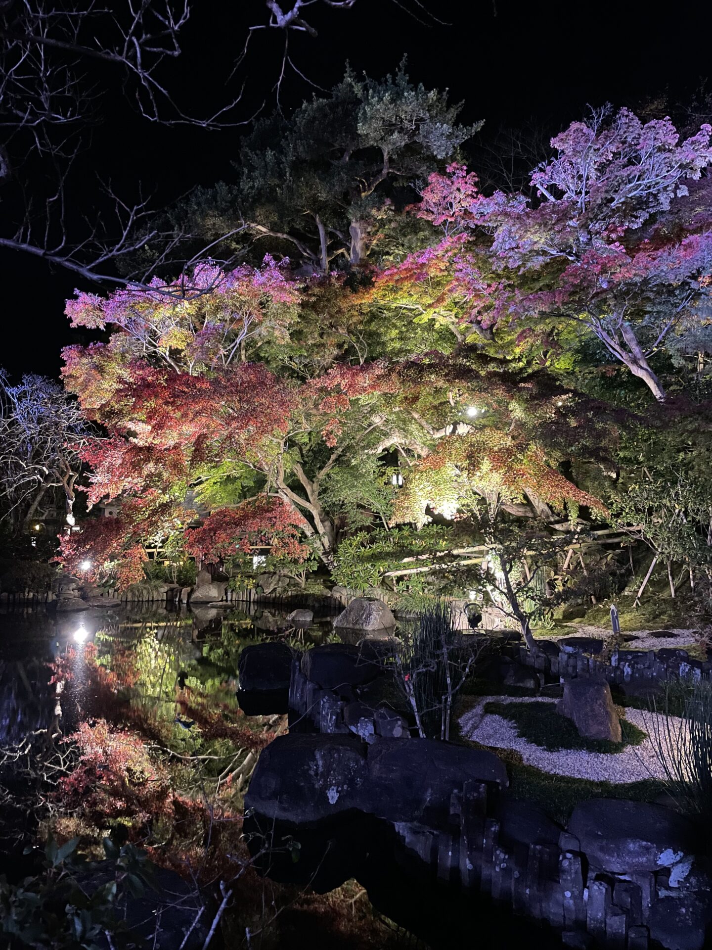 紅葉を見て来ました！