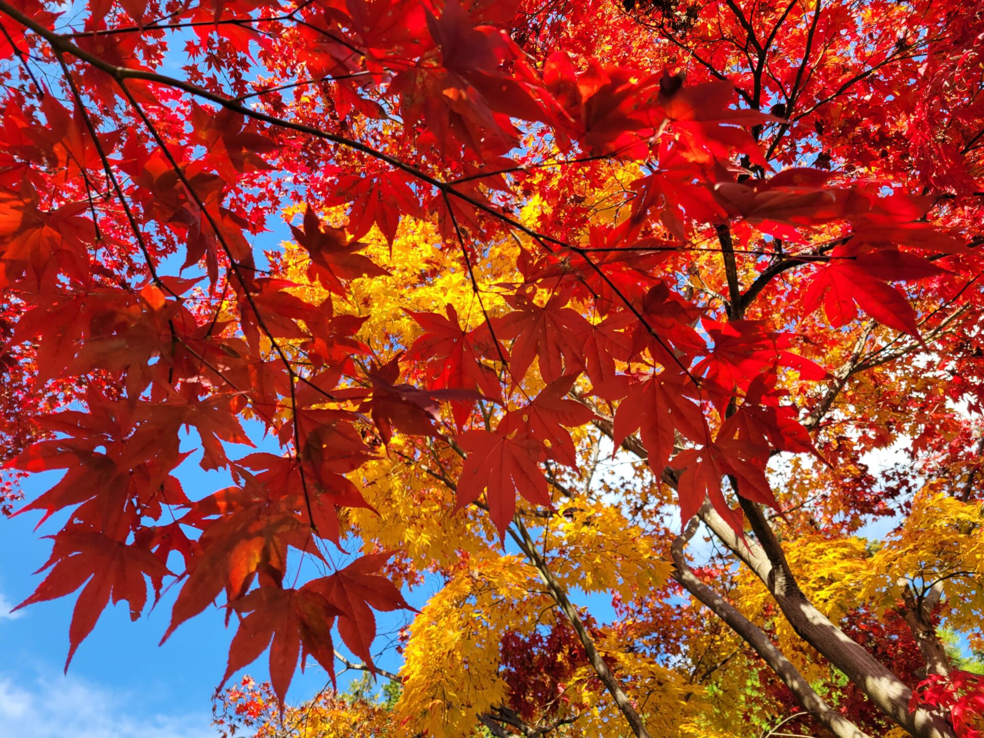 12月のご予約はお早めに！！！
