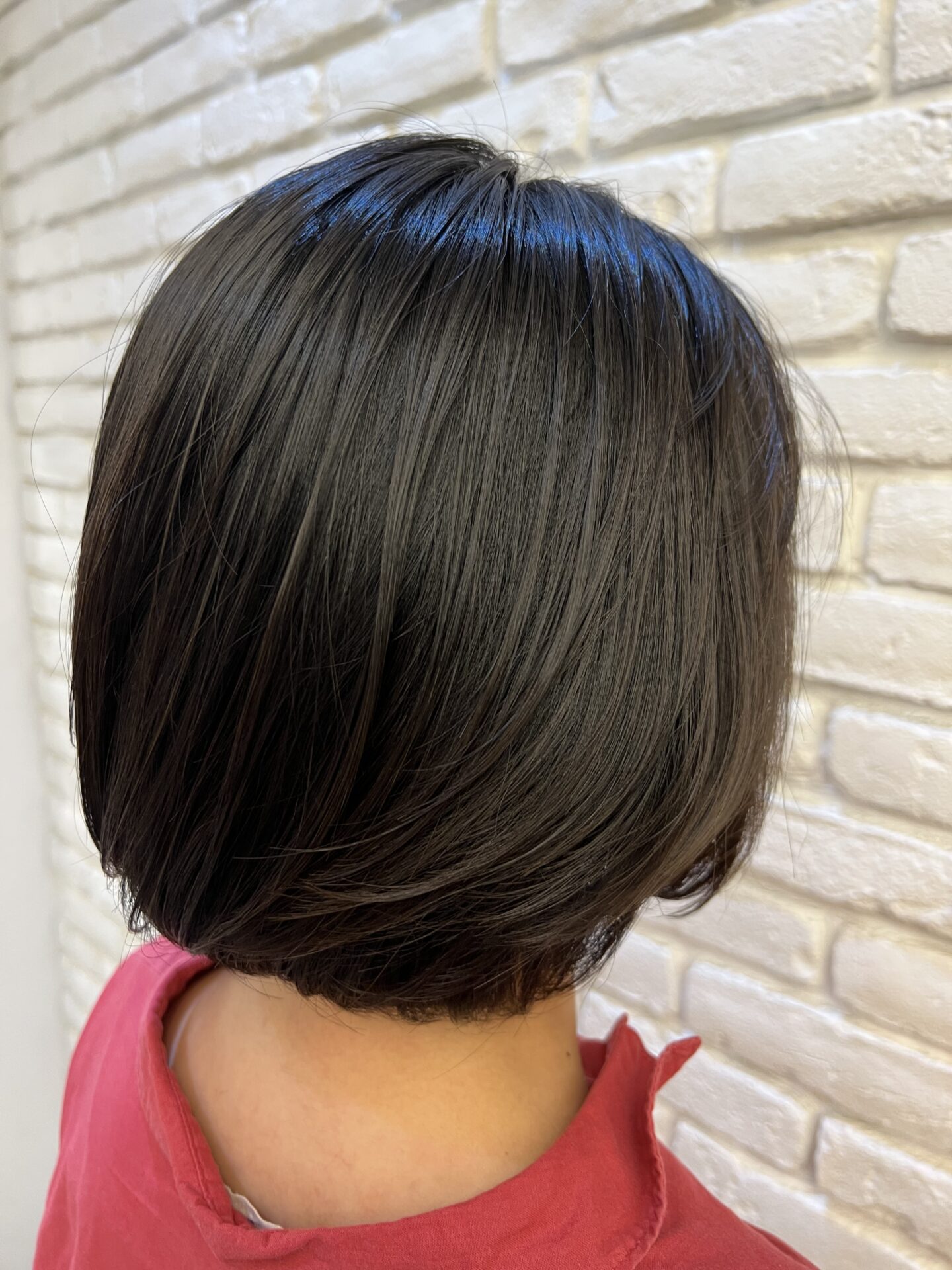 カットモデル！