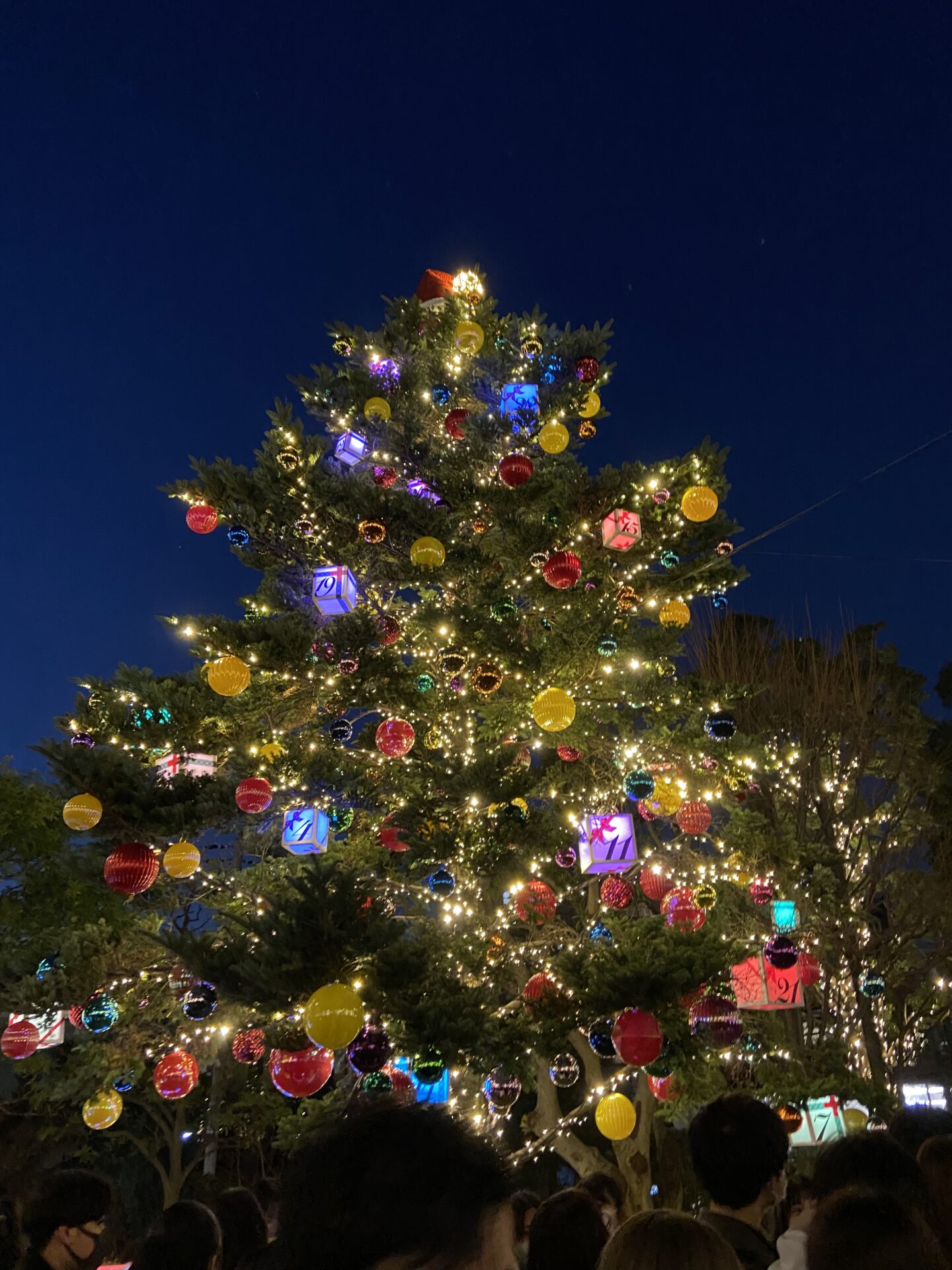 今年も残りわずかです！