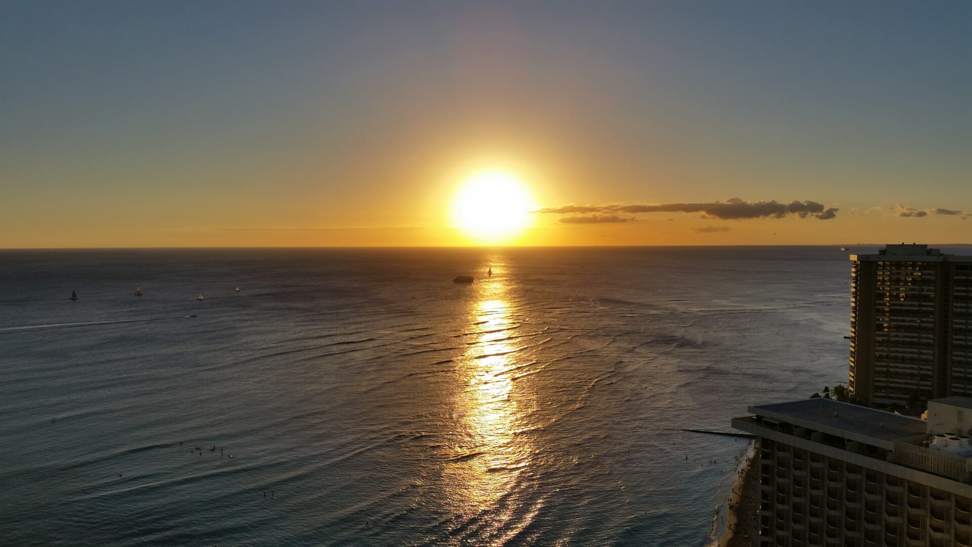 DIFINO青山　1月スケジュール