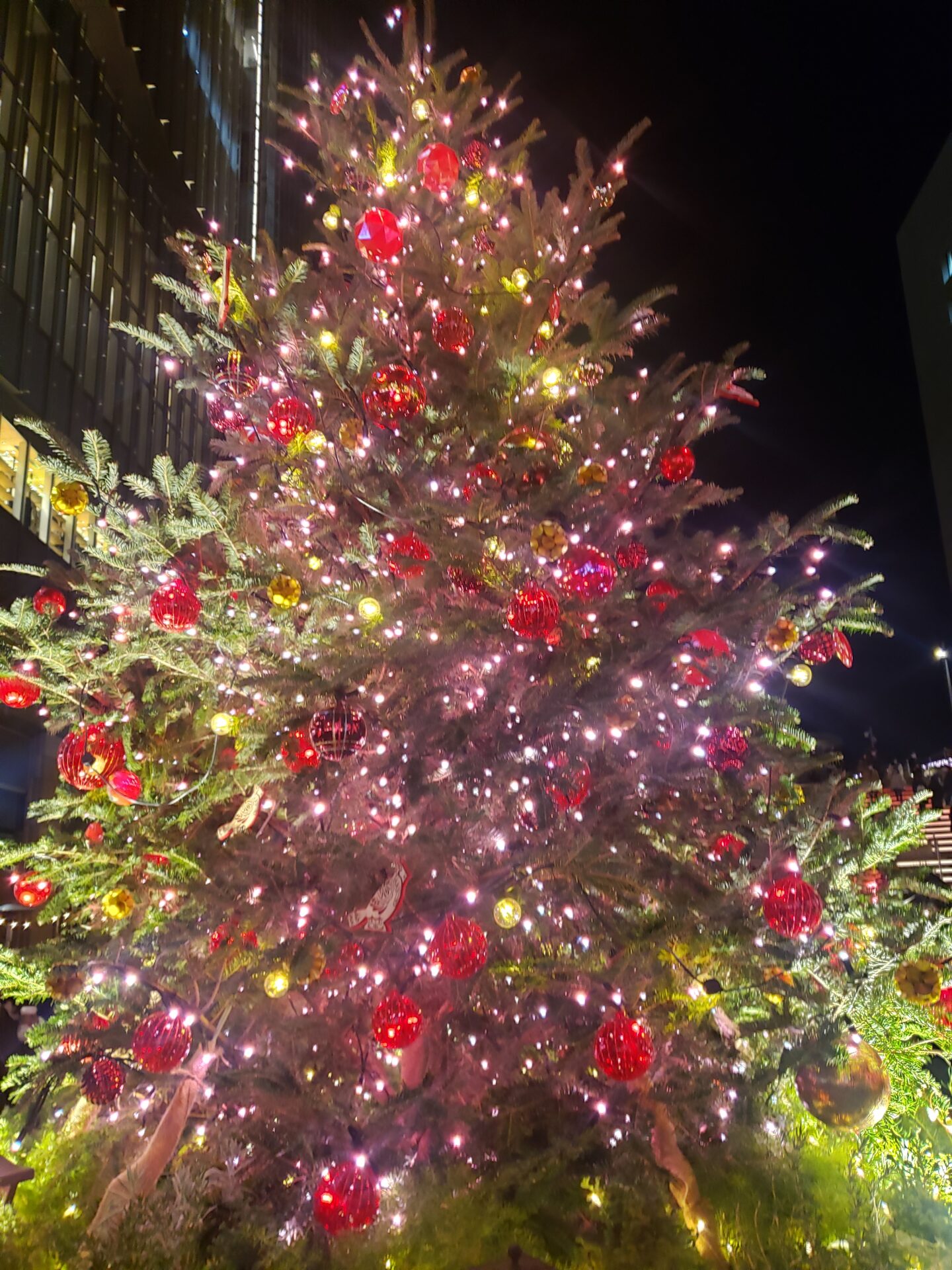 12月青山店スタイリスト不在スケジュール