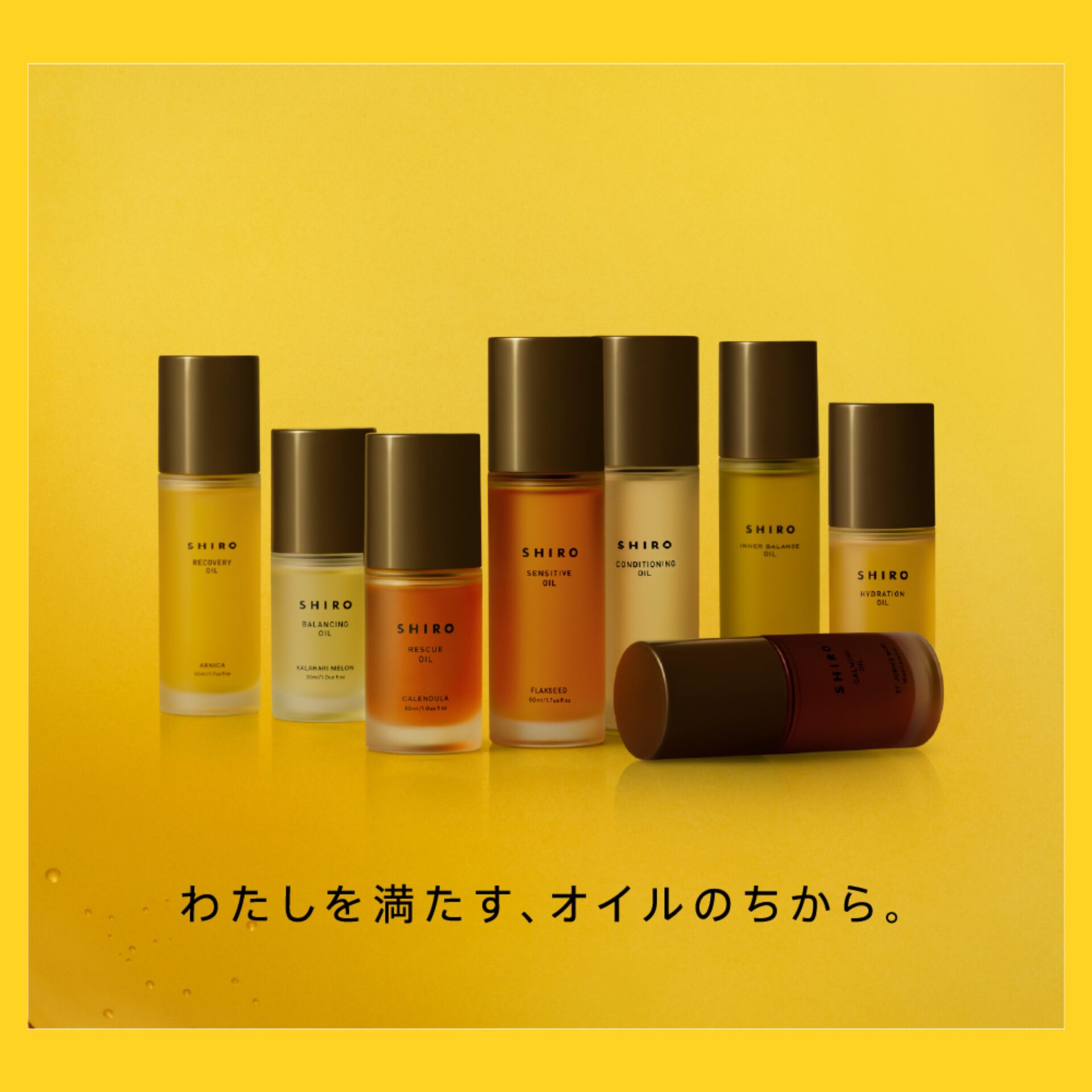 大人気コスメブランドSHIROより美容オイルがでました♪^ ^