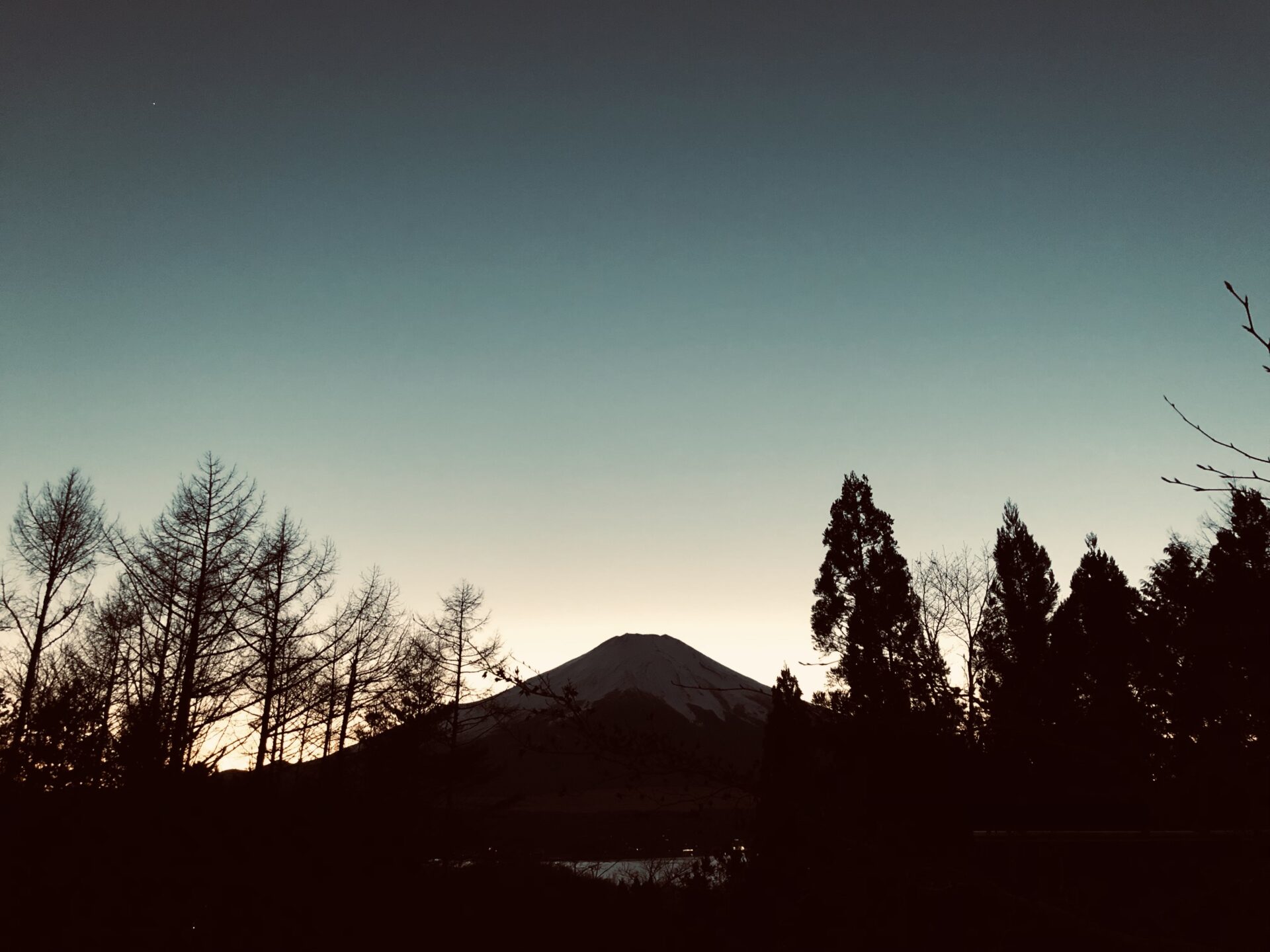 本年も宜しくお願い致します♪