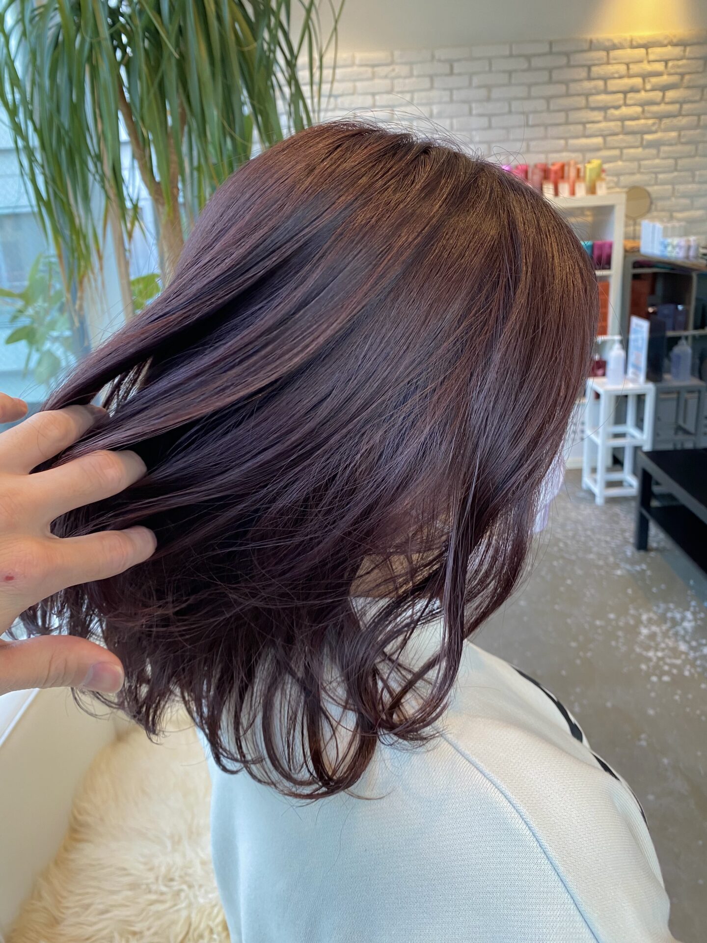 カラーなんでも