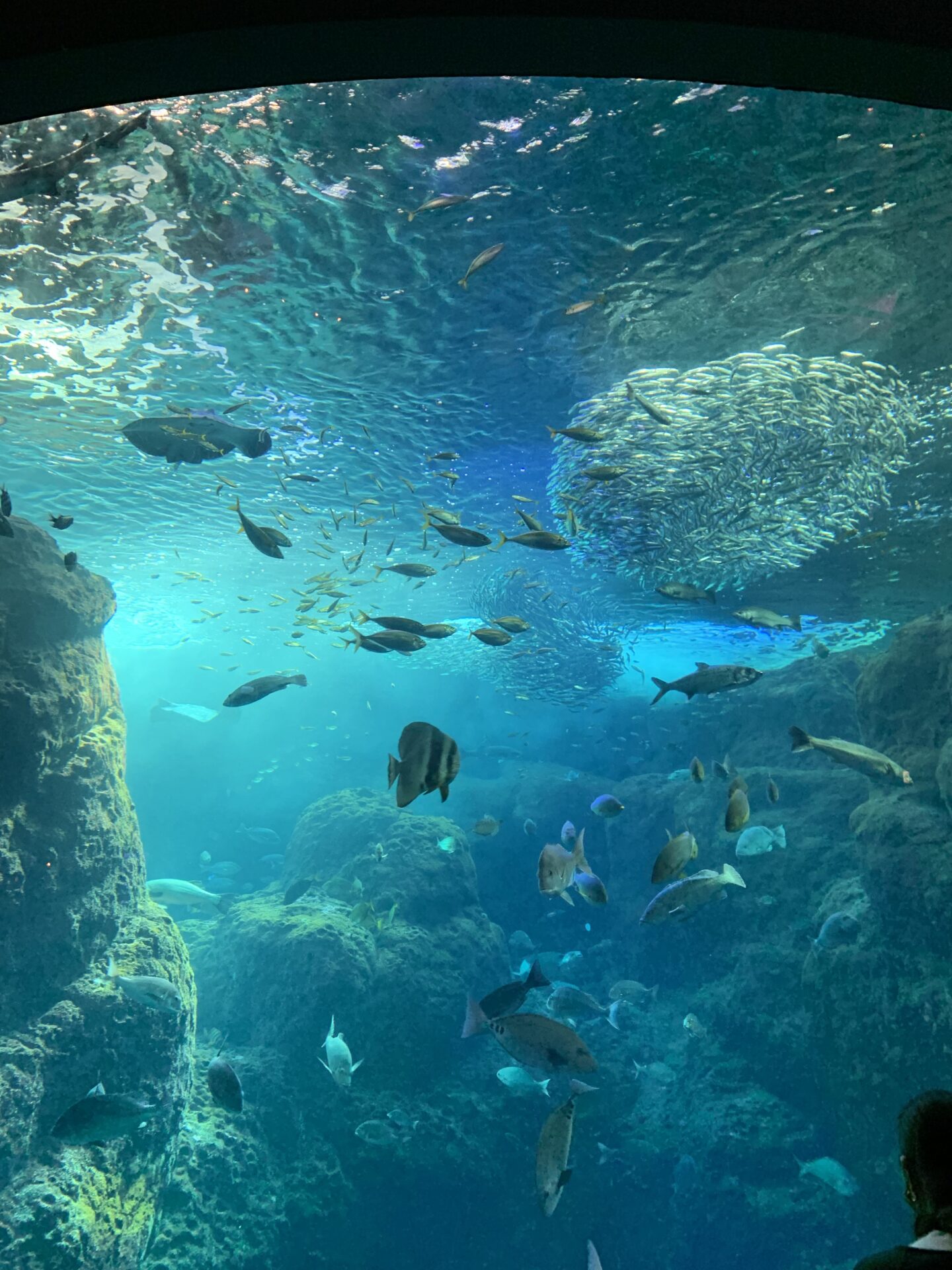 AUTHENTIC BEAUTY CONSEPT