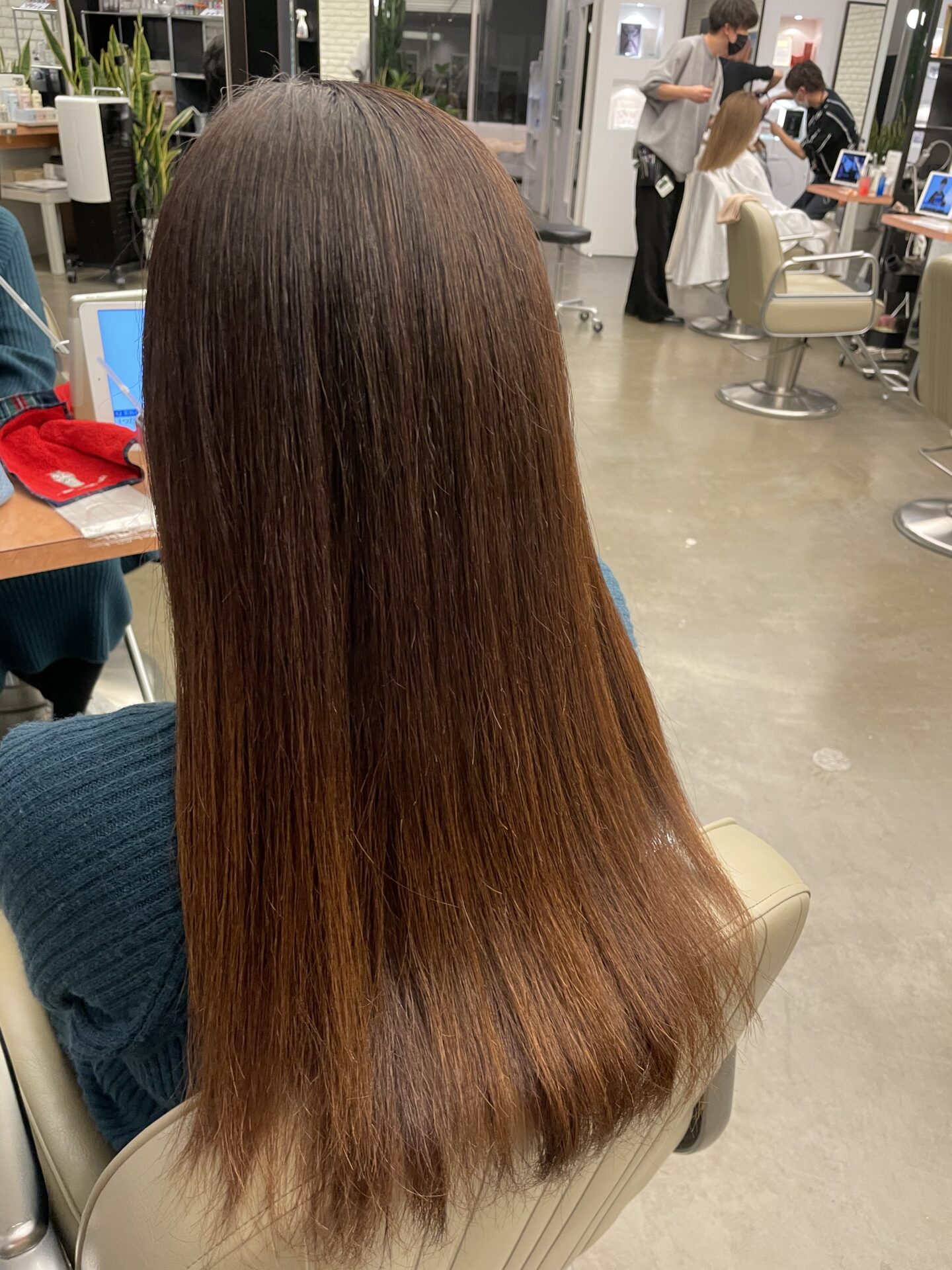 梅雨の時期が来る前に👩🏻