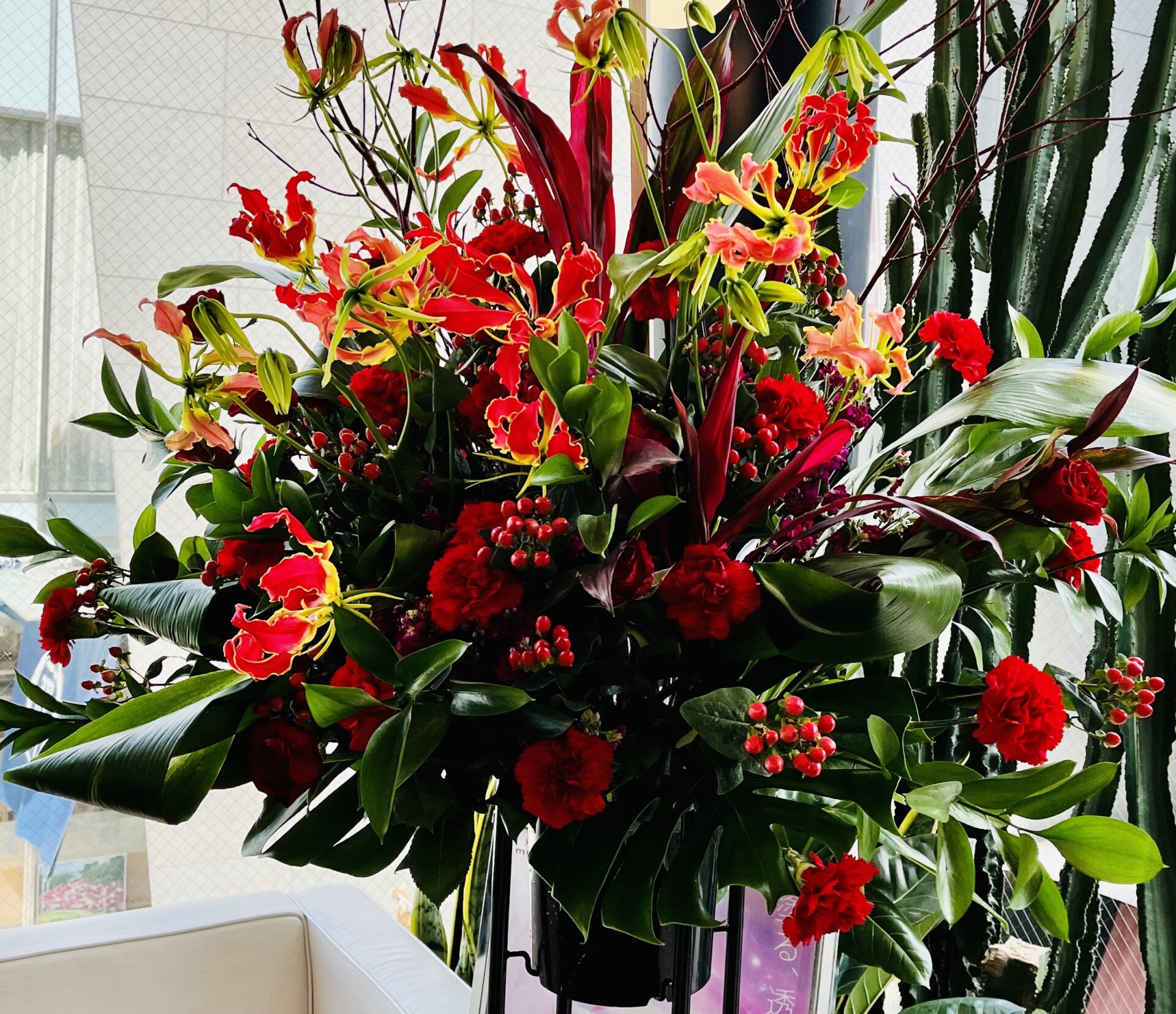 DIFINOは、祝20周年を迎えます。