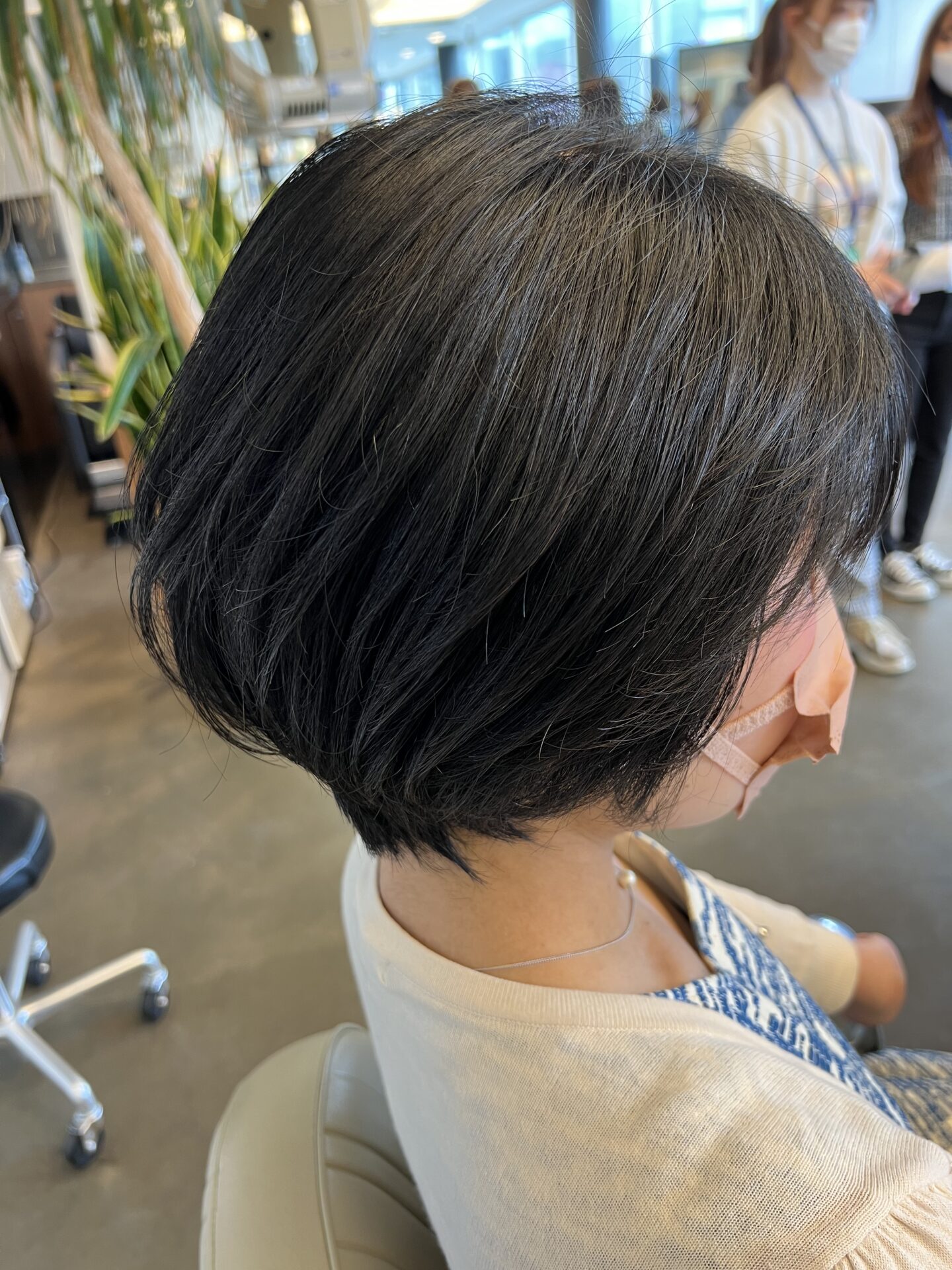 カットモデル！