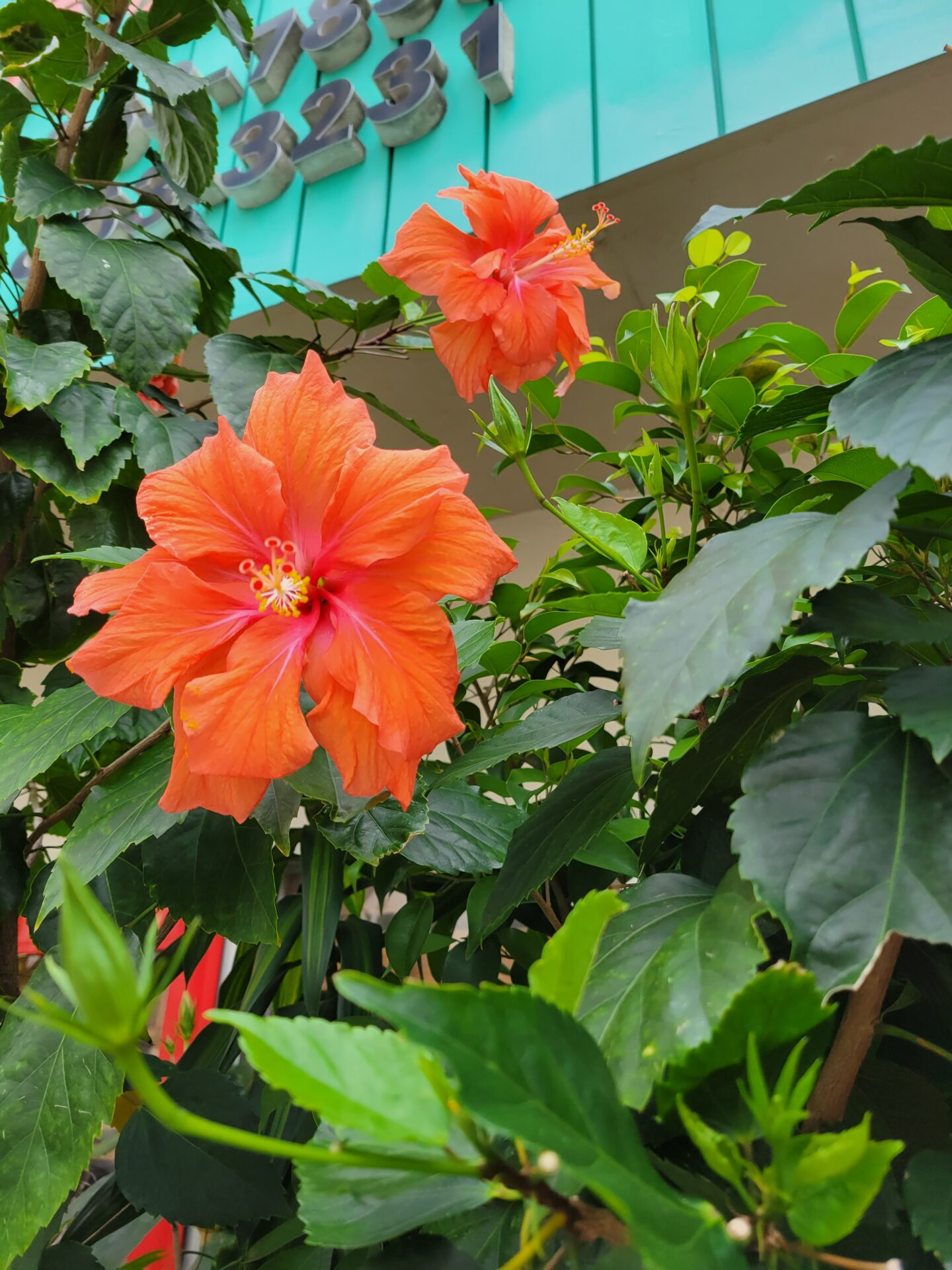 青山店 スタイリスト不在スケジュール 6月