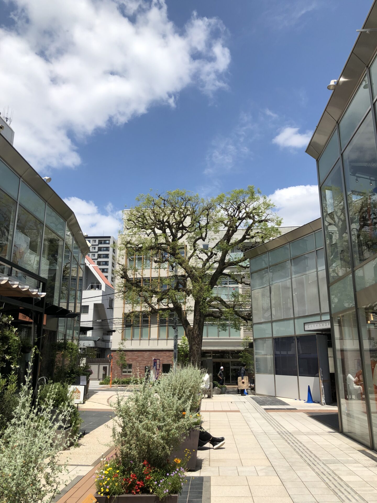 髪を切っちゃうのもあり！！