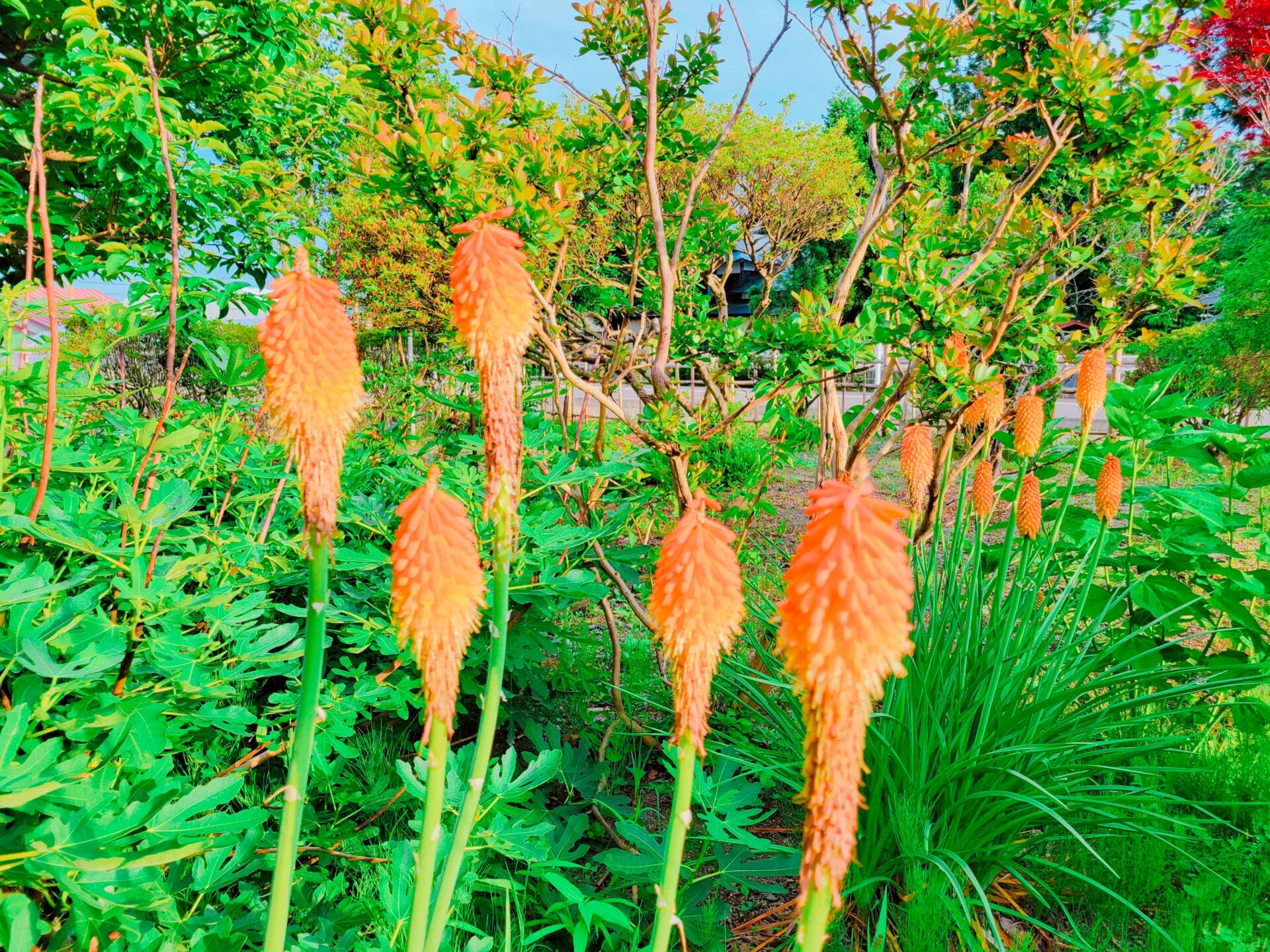 DIFINO青山スタイリスト不在スケジュール 7月