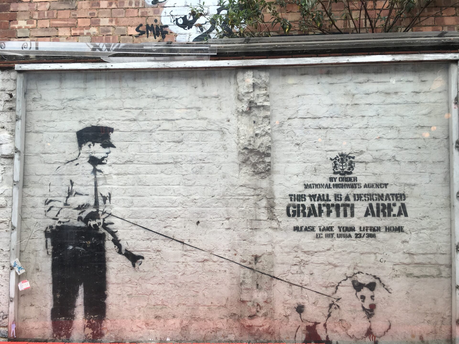 カットとカラーデザイン