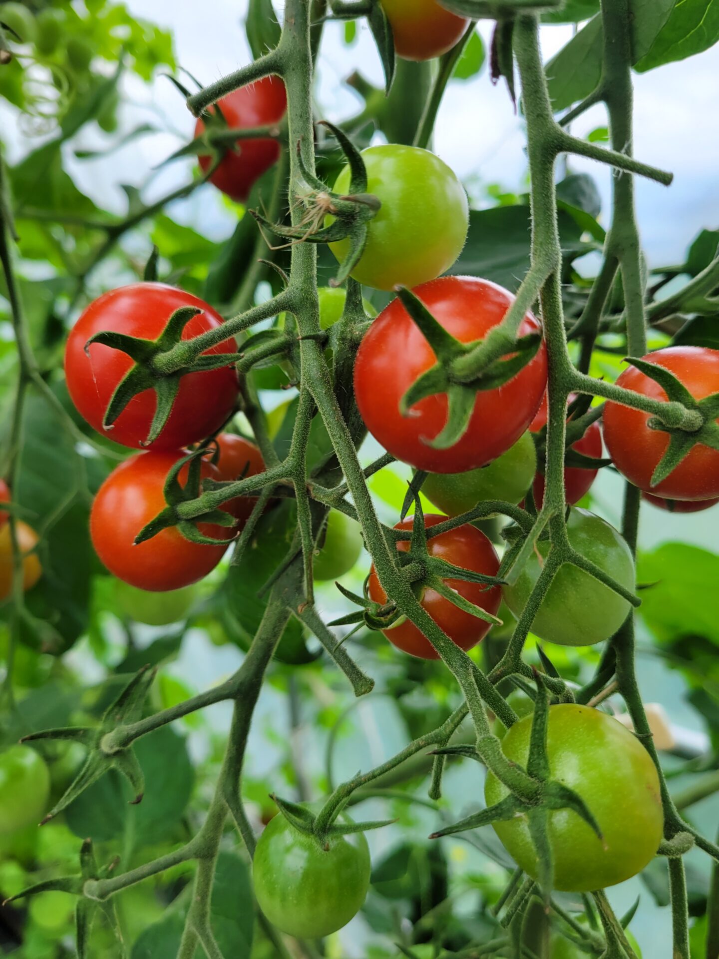 青山店　スタイリスト夏休みの予定