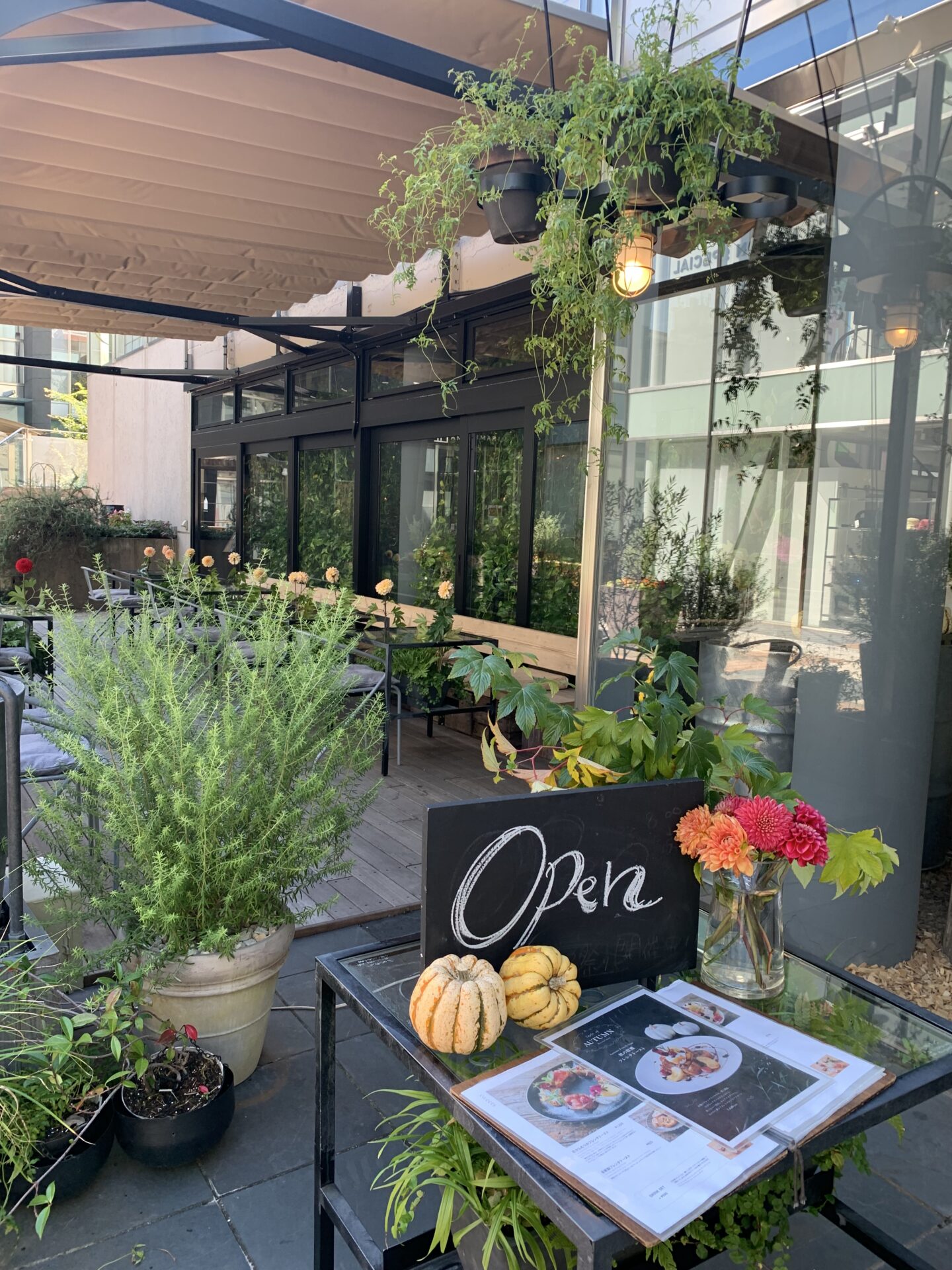 山岡紀子スケジュール