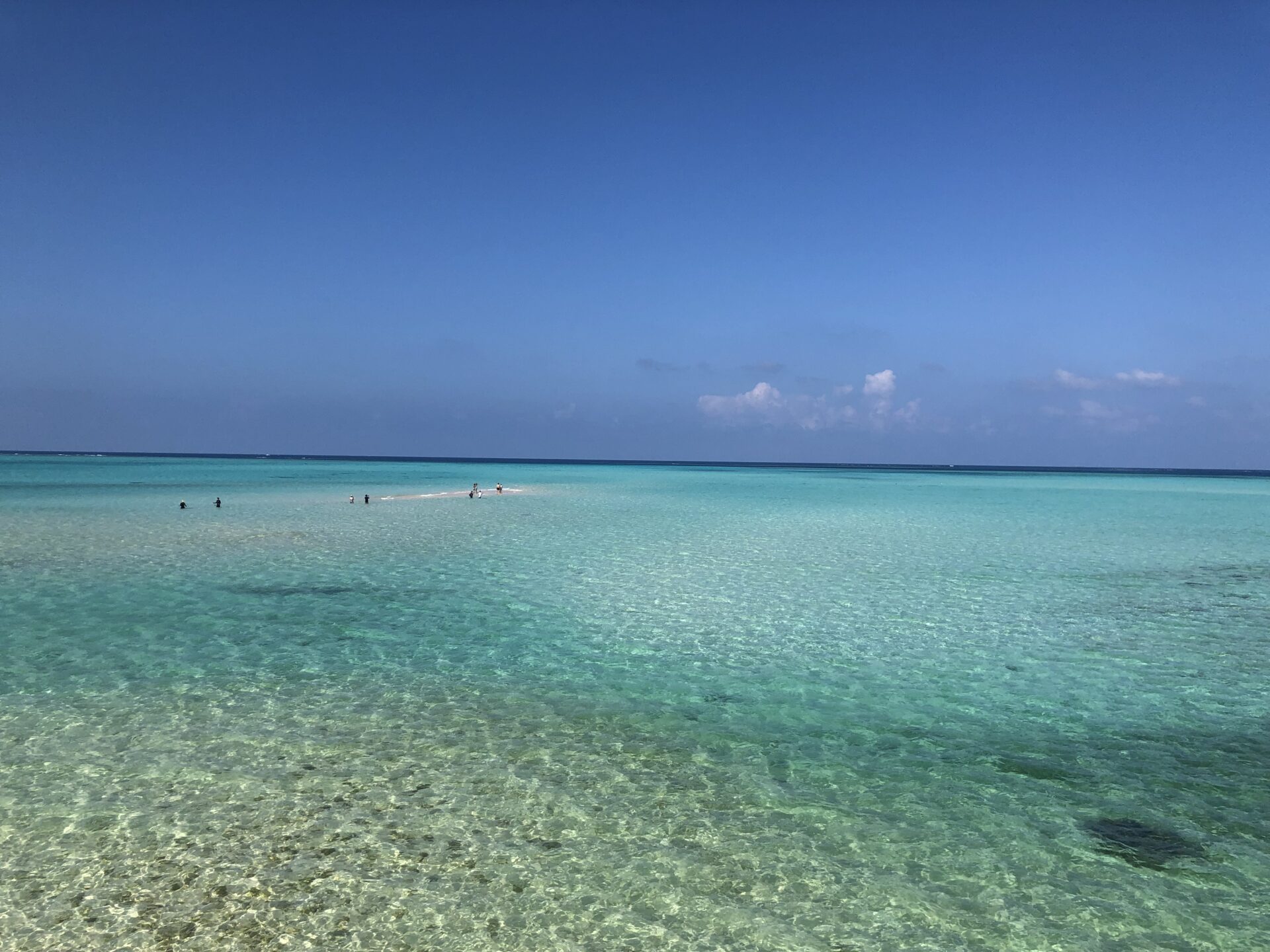 夏休み終了サロンに出てますよ～